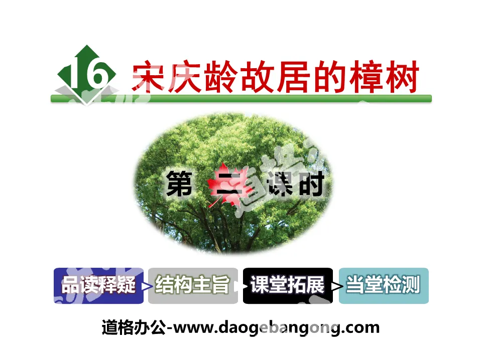 Download the PPT courseware of "The Camphor Tree in Soong Ching Ling's Former Residence"
