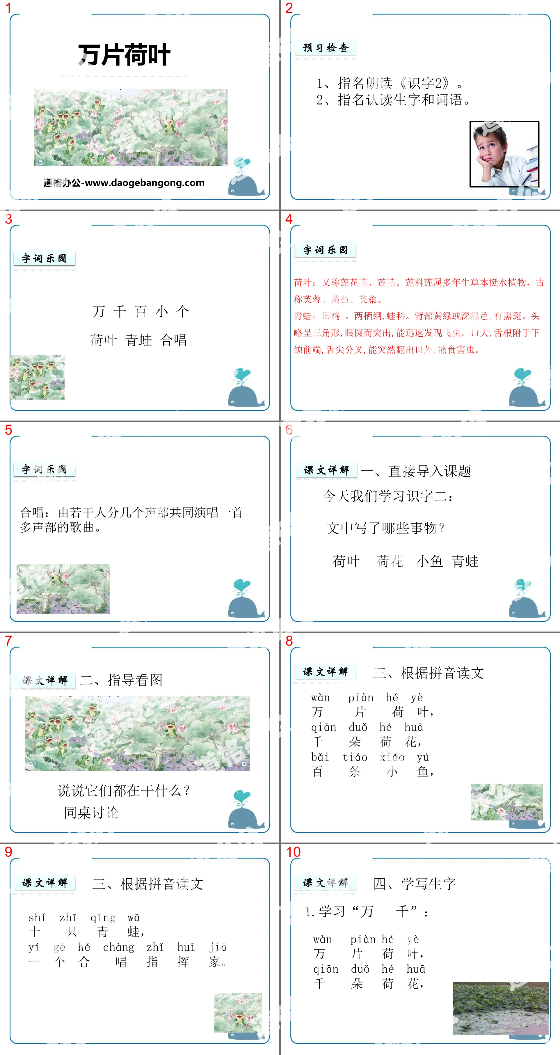 "Ten Thousand Lotus Leaves" literacy PPT courseware