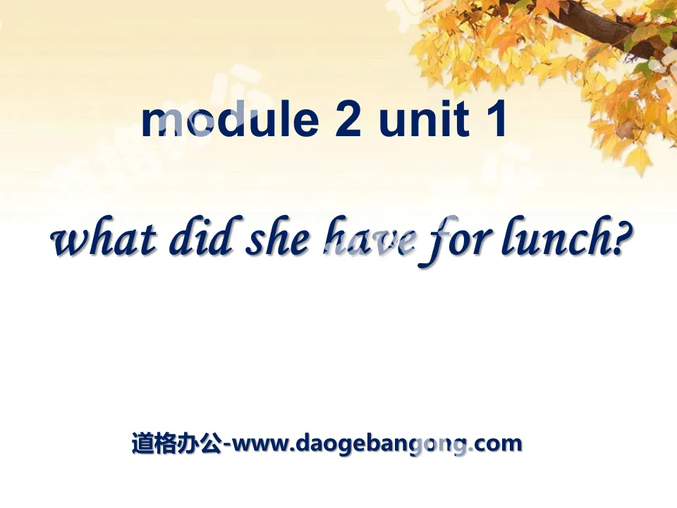 "What did she have for lunch?" PPT courseware