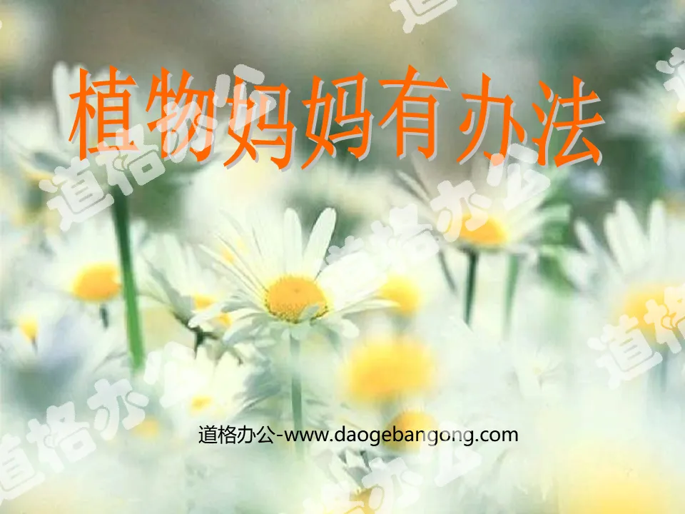 《 植物妈妈有办法 》PPT