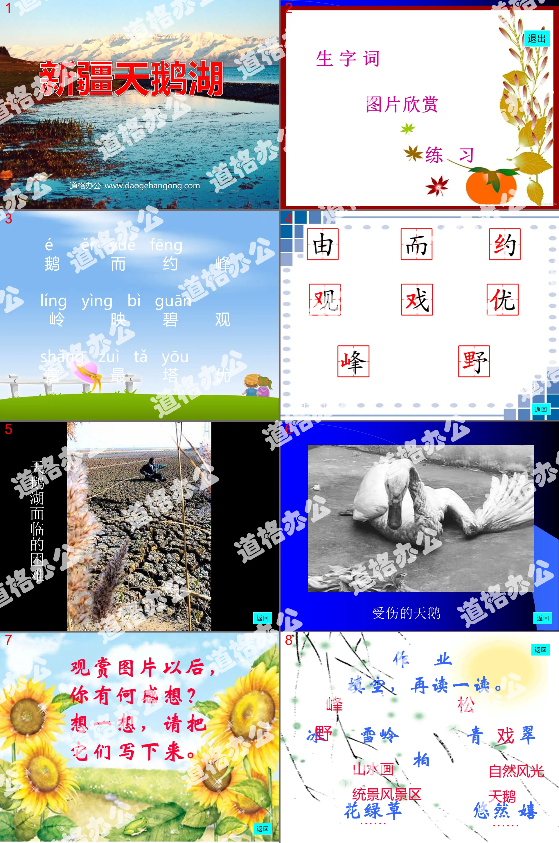 "Xinjiang Swan Lake" PPT courseware