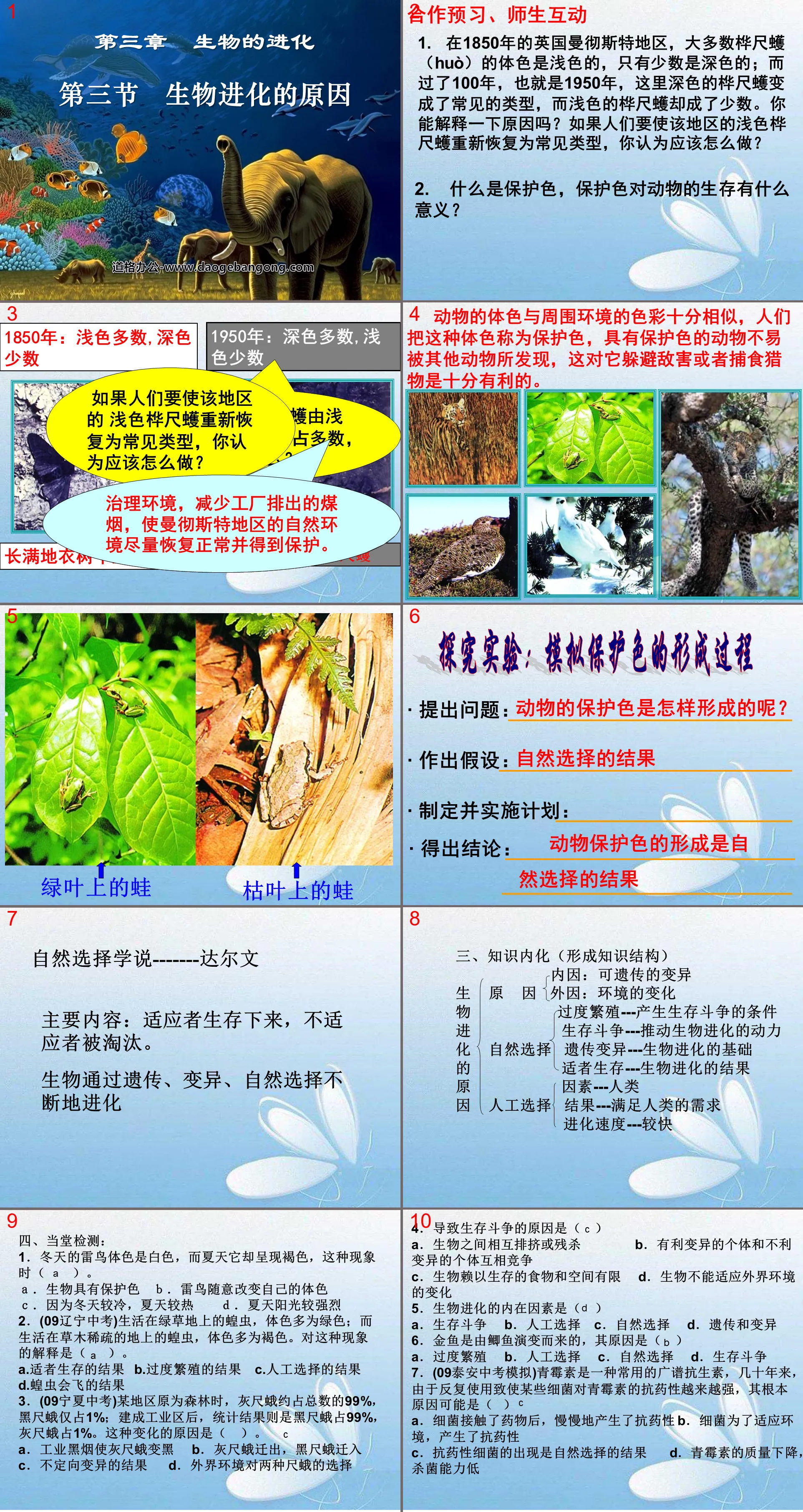 《生物進化的原因》生物的進化PPT課件3