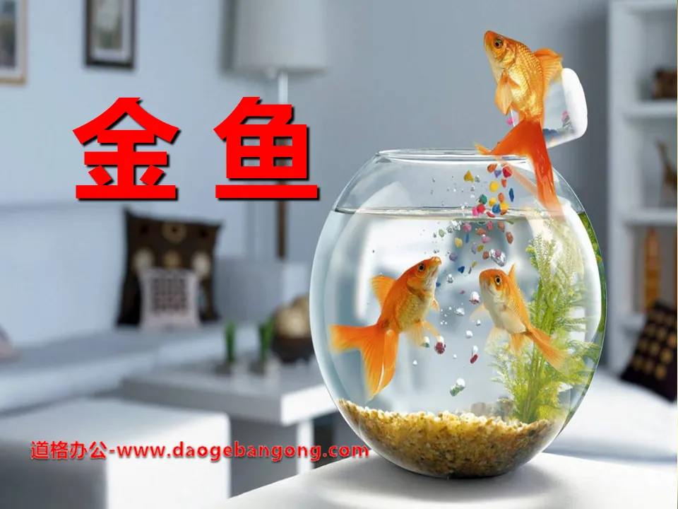 Didacticiel PPT animal "Poisson rouge"