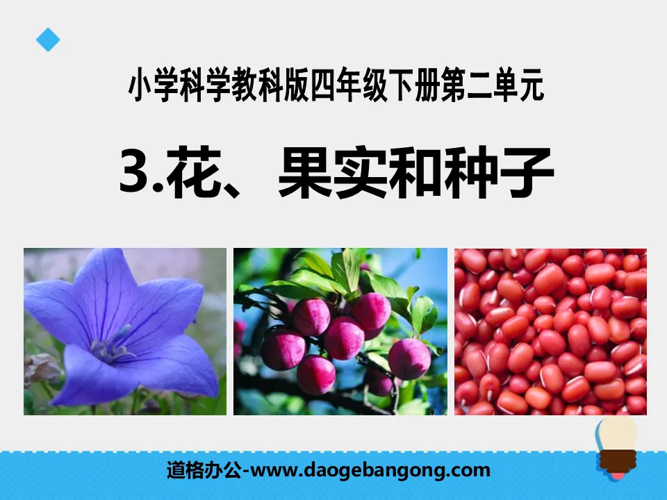 "Flowers, Fruits and Seeds" New Life PPT Courseware 2