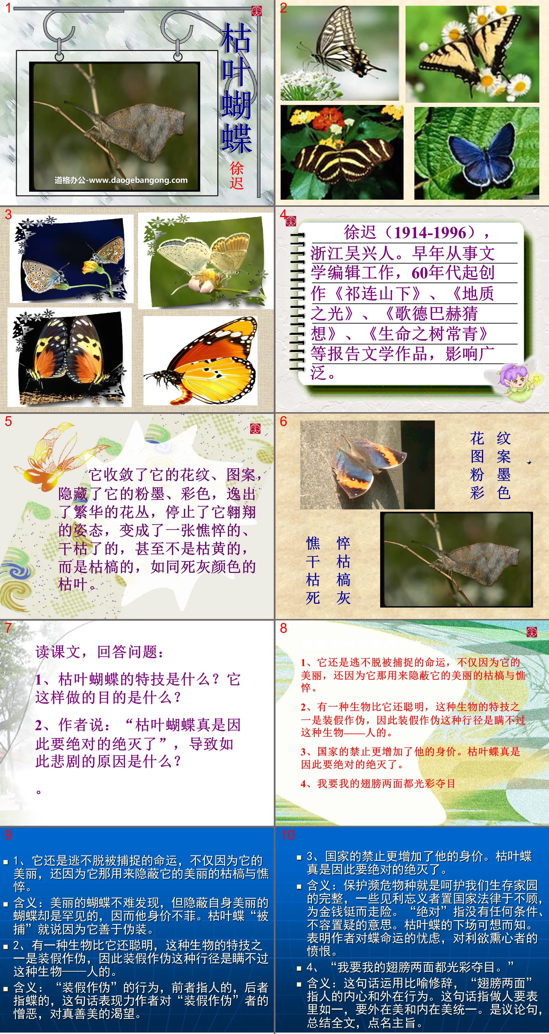 "Dead Leaf Butterfly" PPT courseware 2