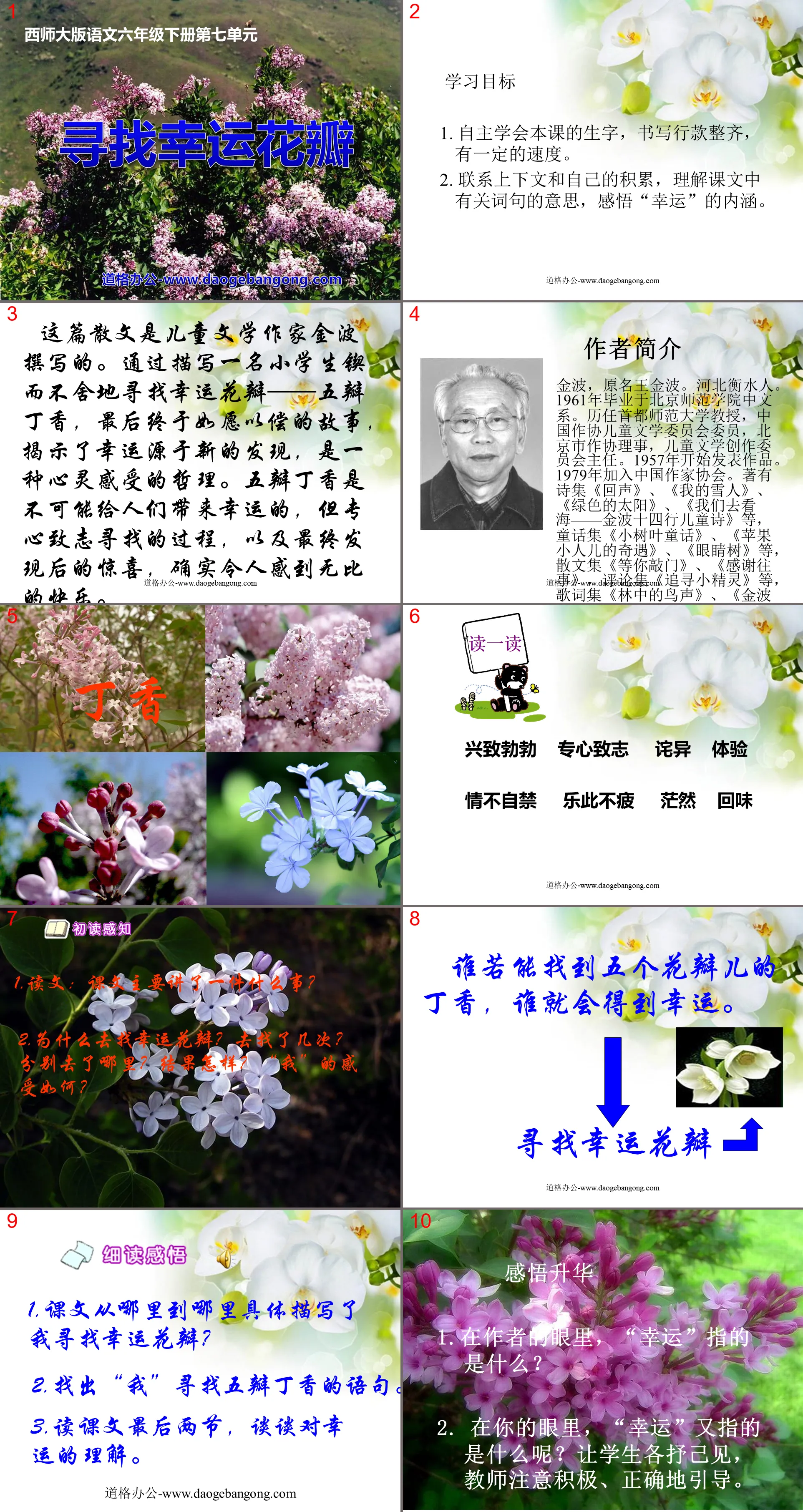 《寻找幸运花瓣》PPT课件
