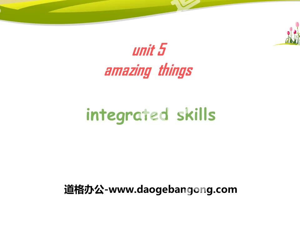 《Amazing things》Integrated skillsPPT