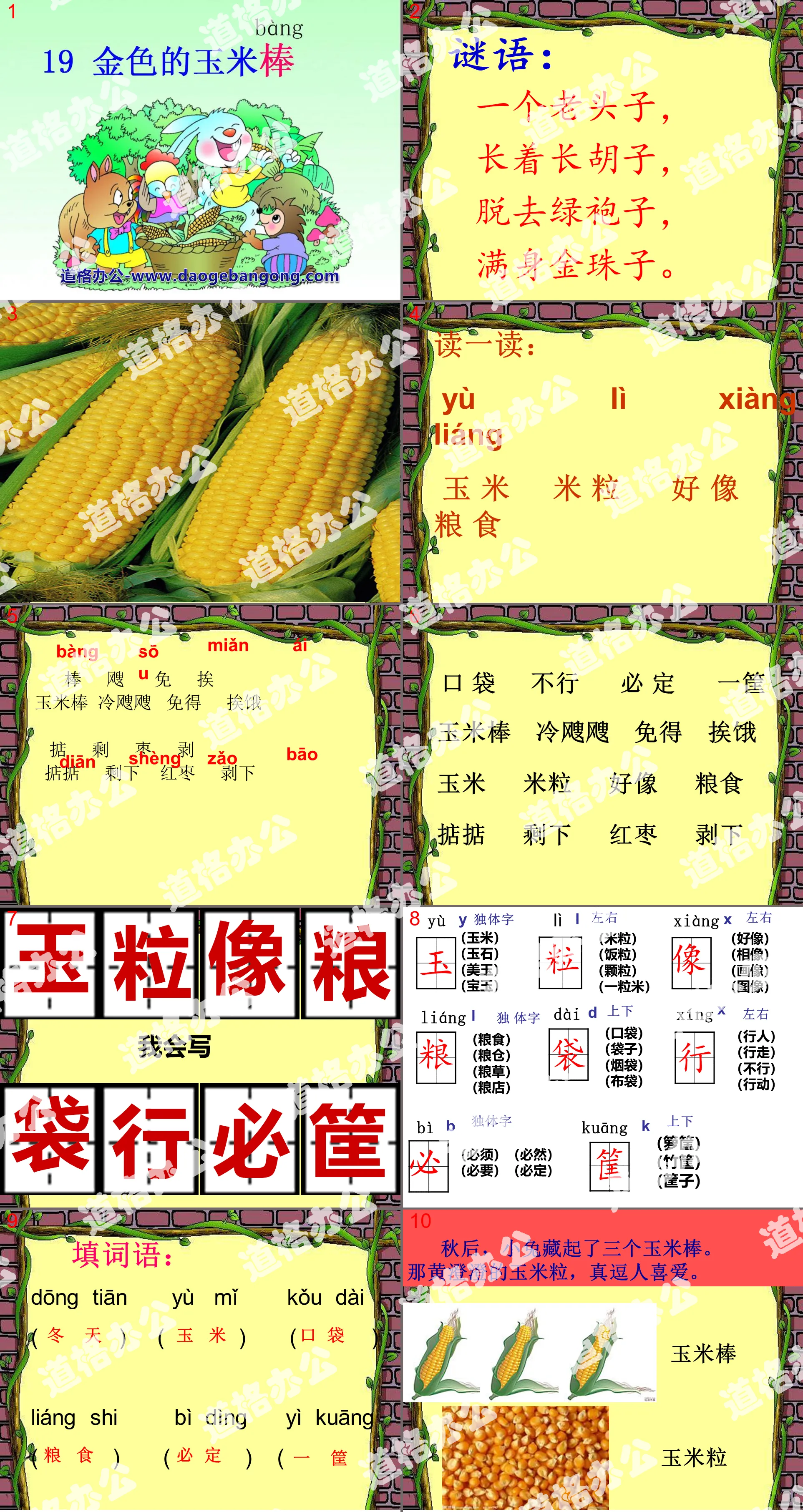 "Golden Corn on the Cob" PPT courseware