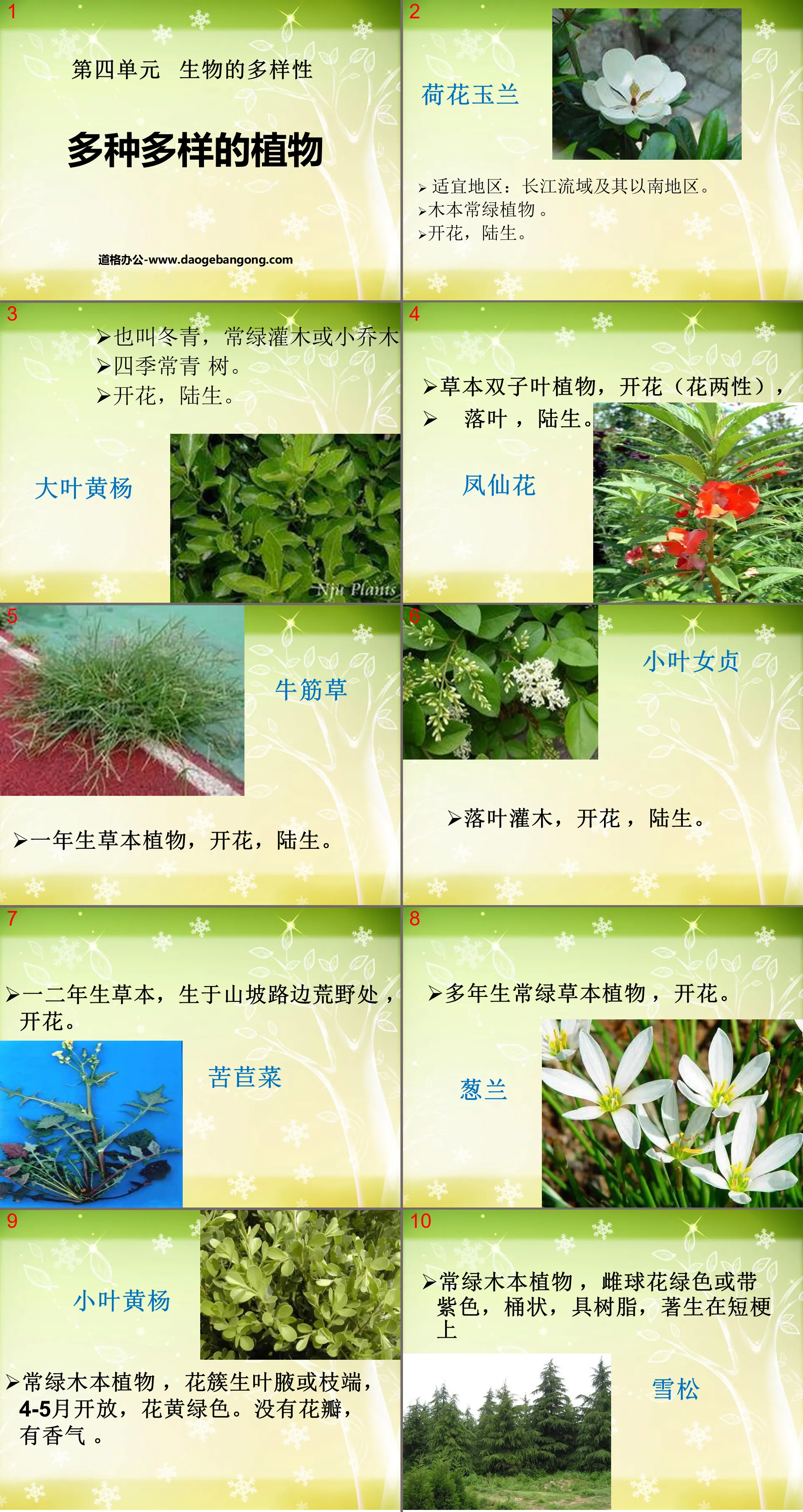 "Various Plants" Biological Diversity PPT Courseware 2