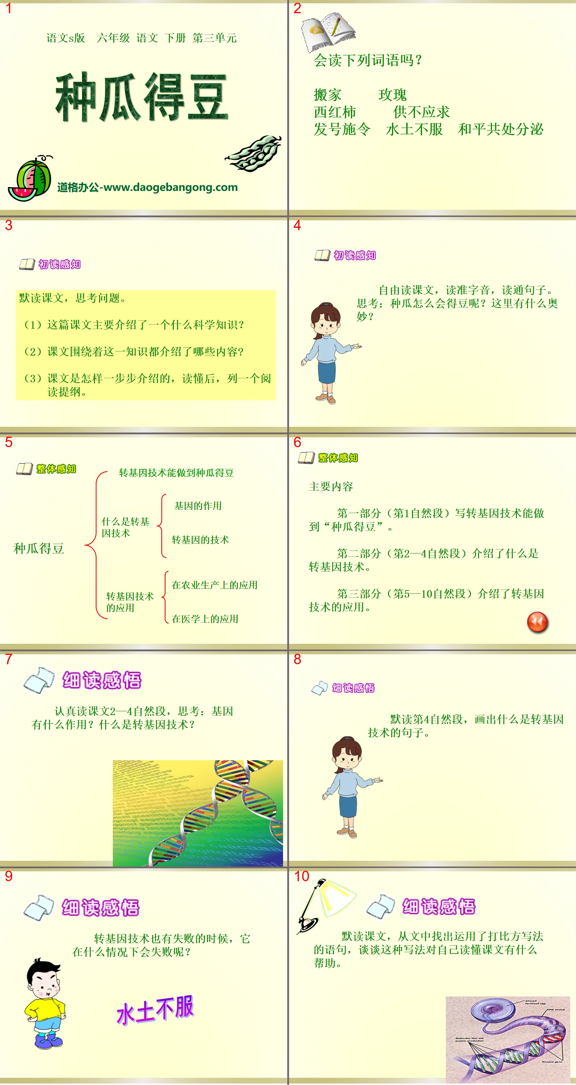 《種瓜得豆》PPT課件2