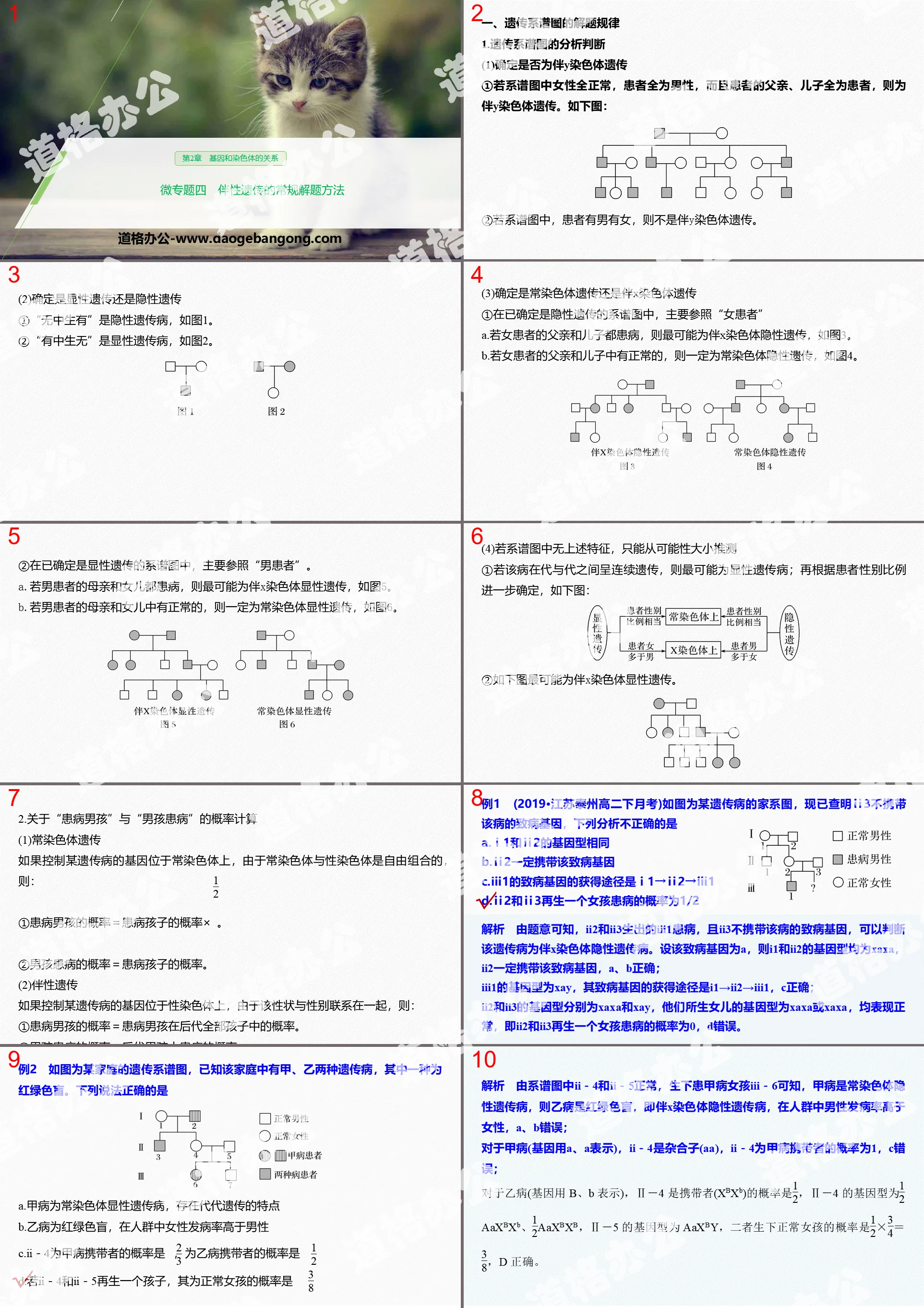 《微专题四 伴性遗传的常规解题方法》基因和染色体的关系PPT