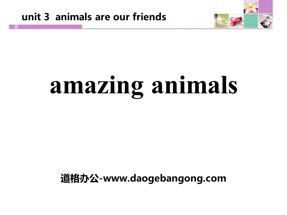 《Amazing Animals》Animals Are Our Friends PPT教学课件
