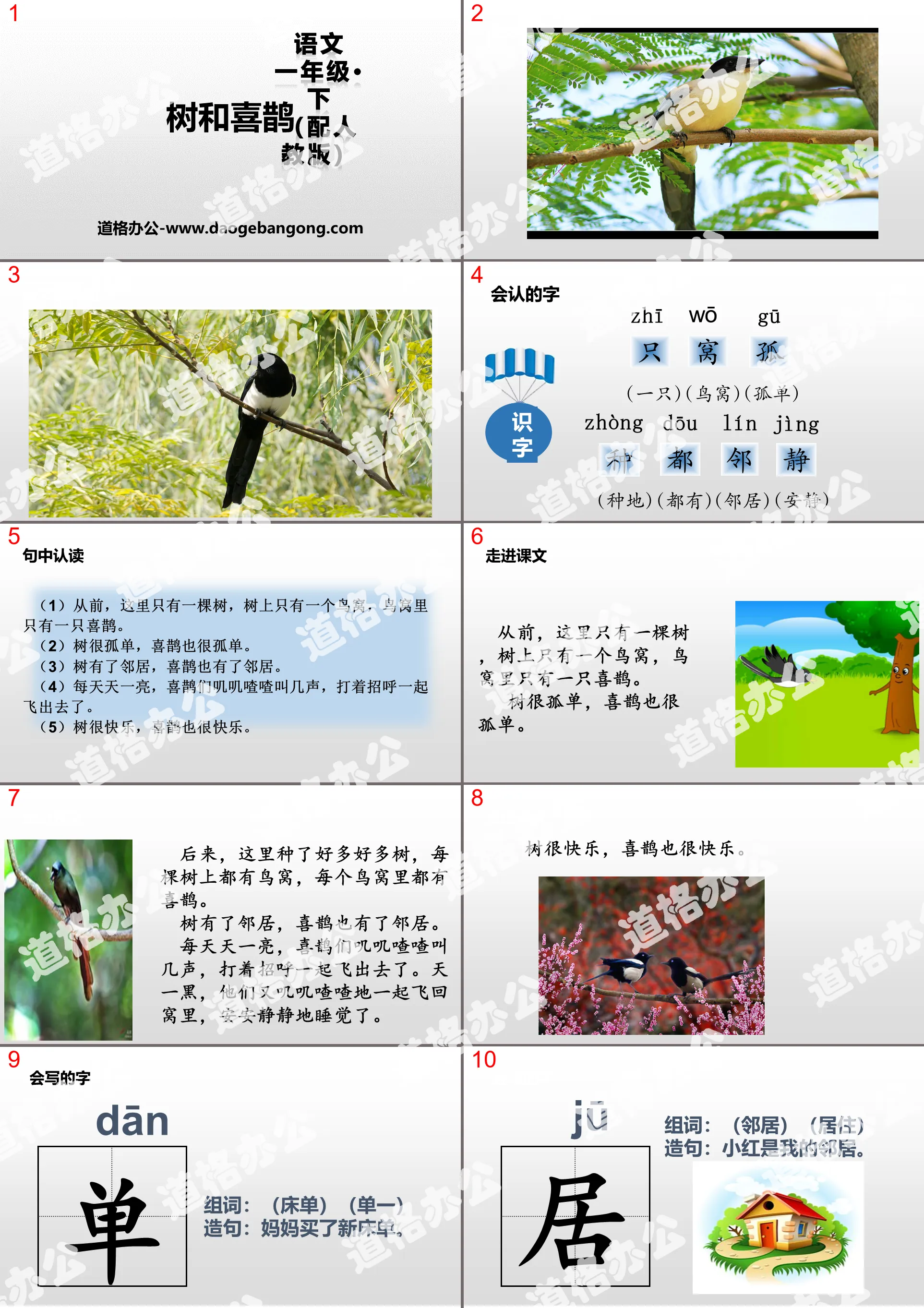 "Tree and Magpie" PPT download