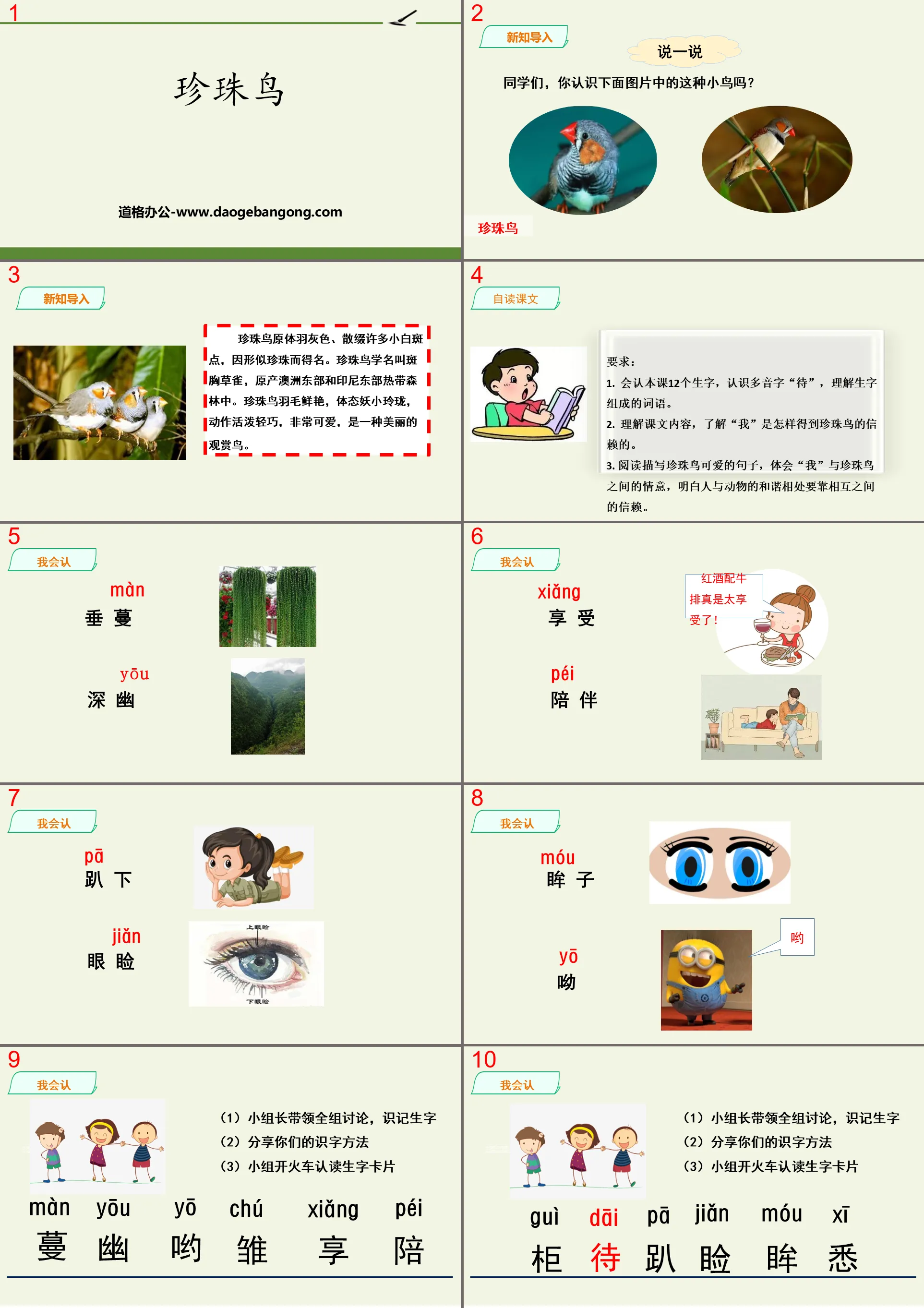 《珍珠鸟》PPT优秀课件