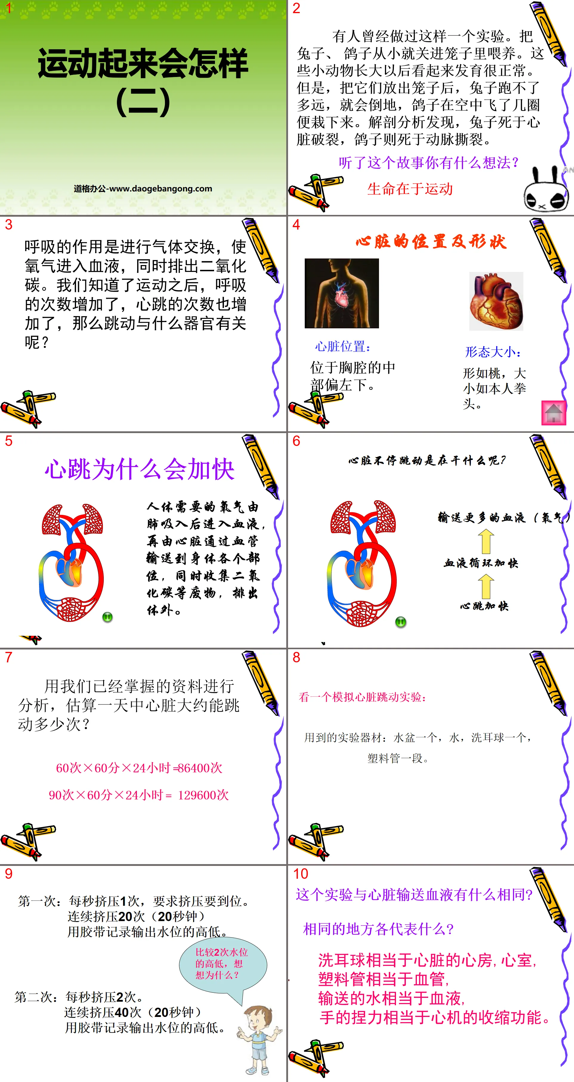 《運動起來會怎樣(二)》我們的身體PPT課件2