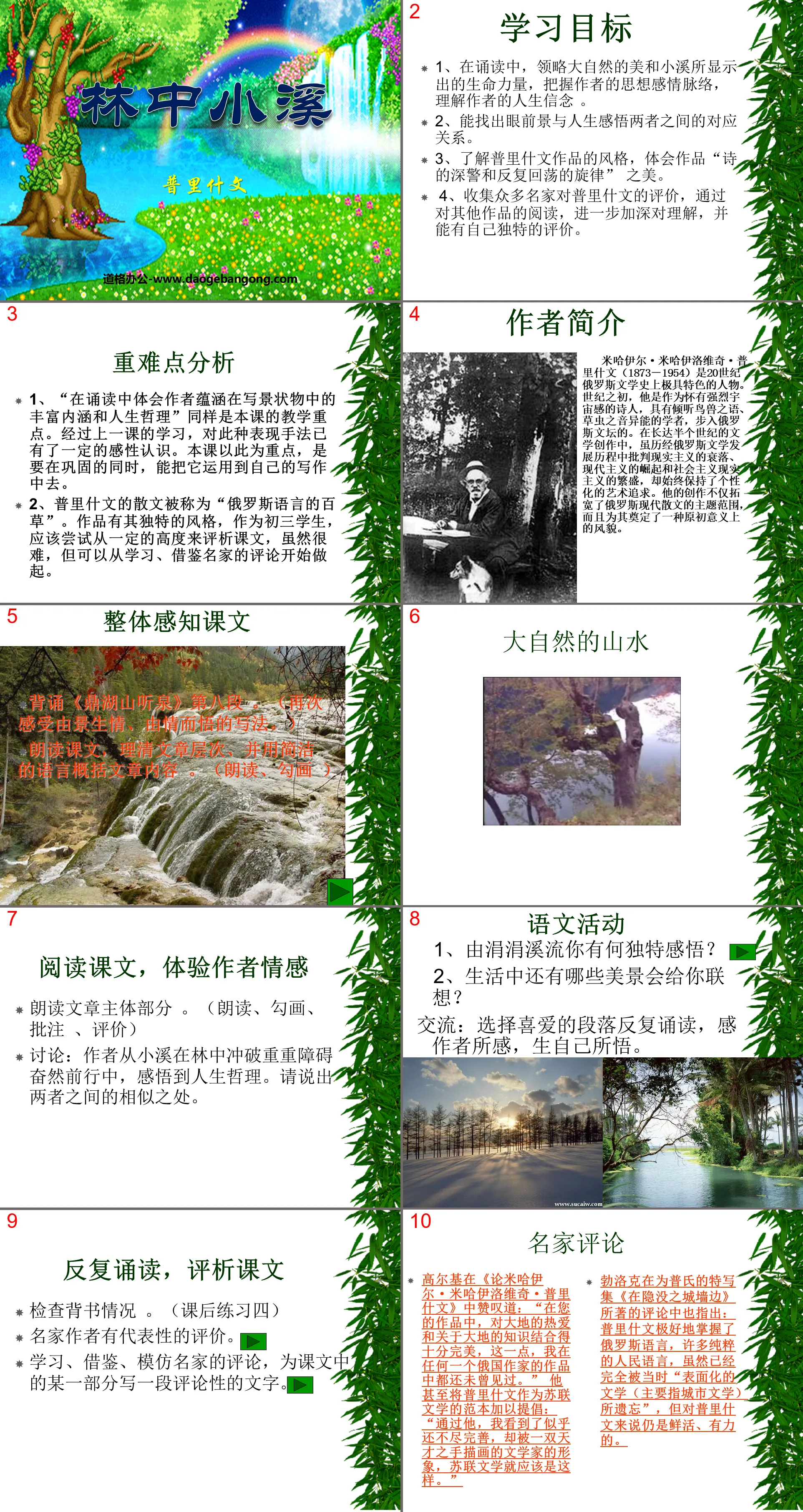 "Stream in the Forest" PPT Courseware 2