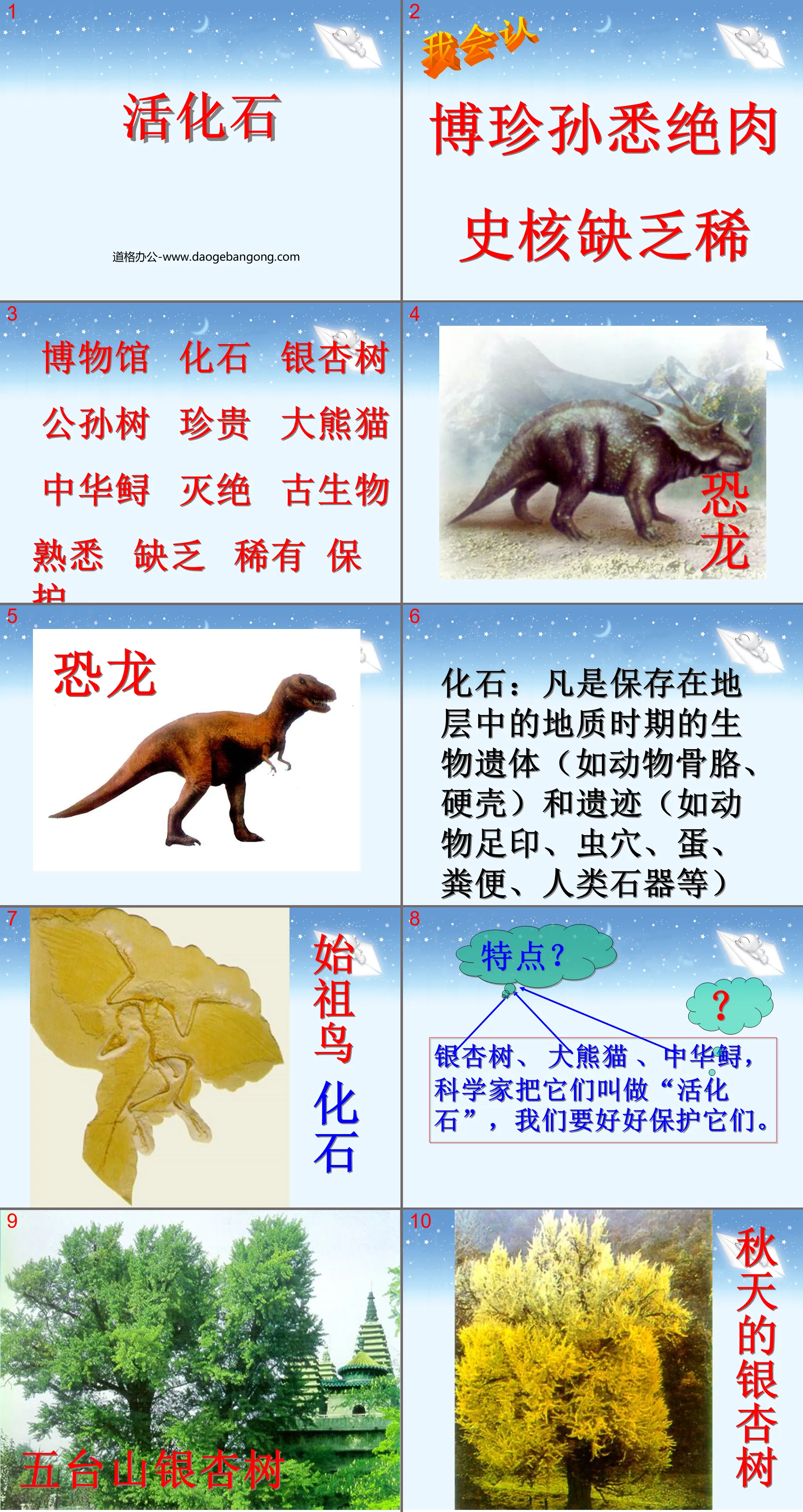 Didacticiel PPT « Fossile vivant » 5