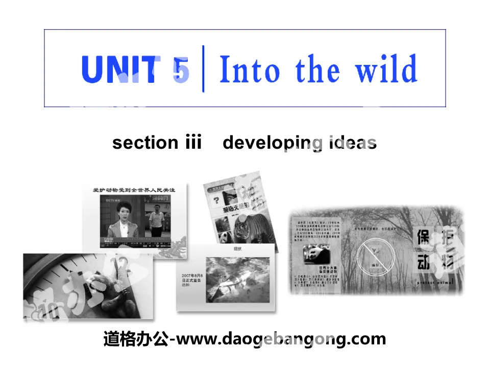 《Into the wild》Section ⅢPPT課件