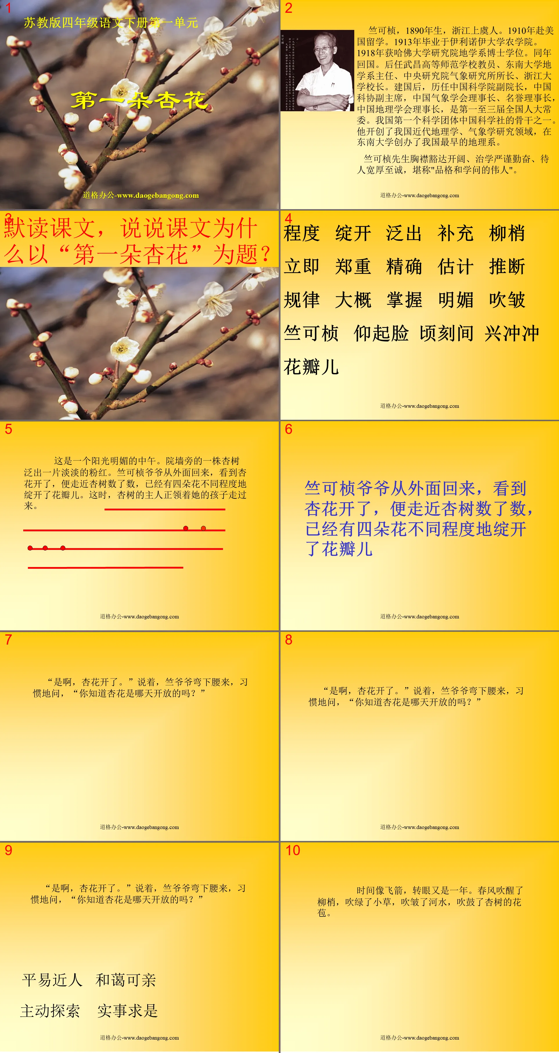 "The First Apricot Blossom" PPT courseware