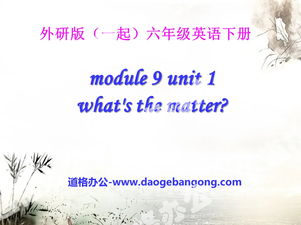 《What's the matter?》PPT课件9
