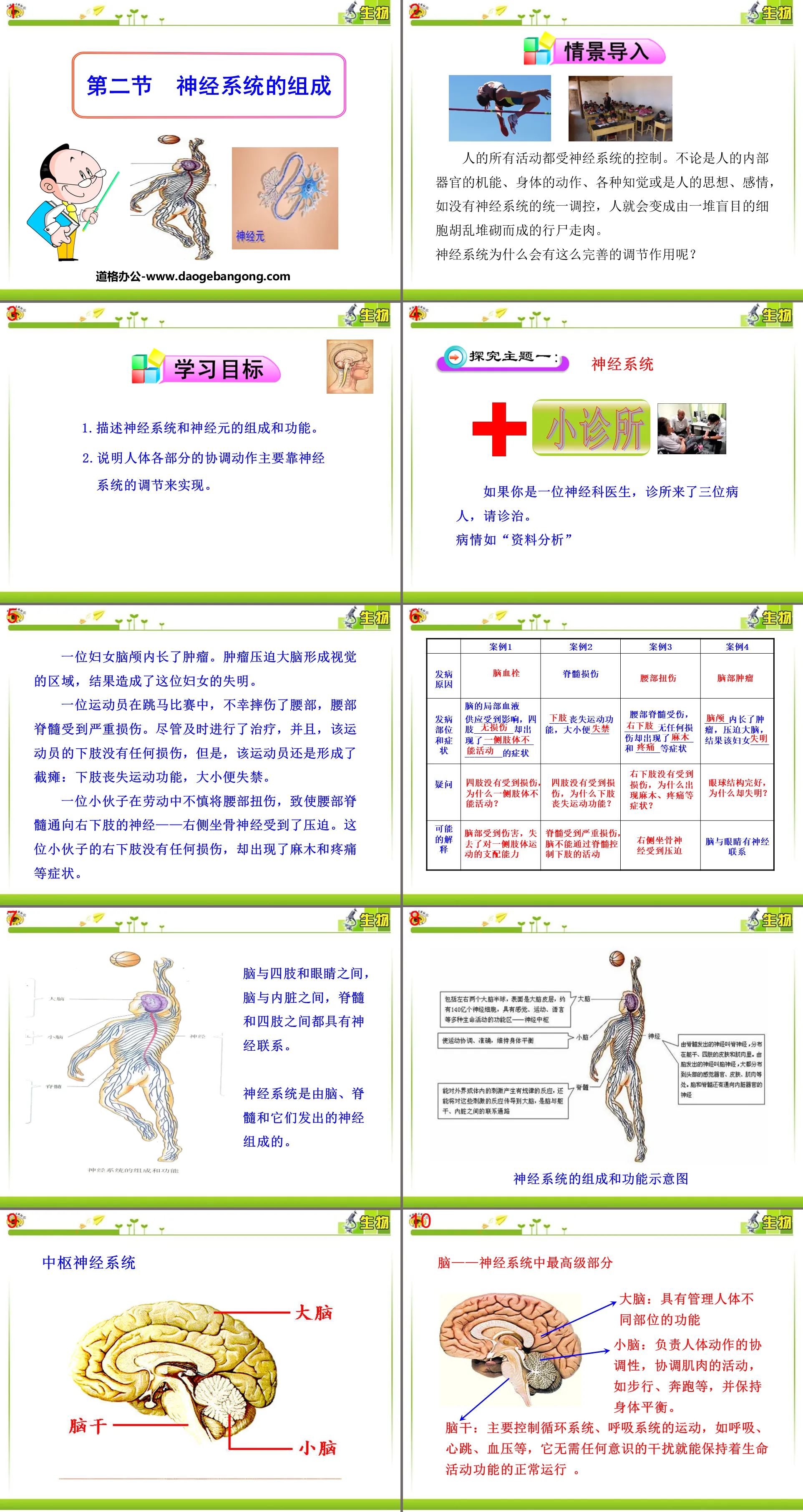 《神经系统的组成》人体生命活动的调节PPT课件3