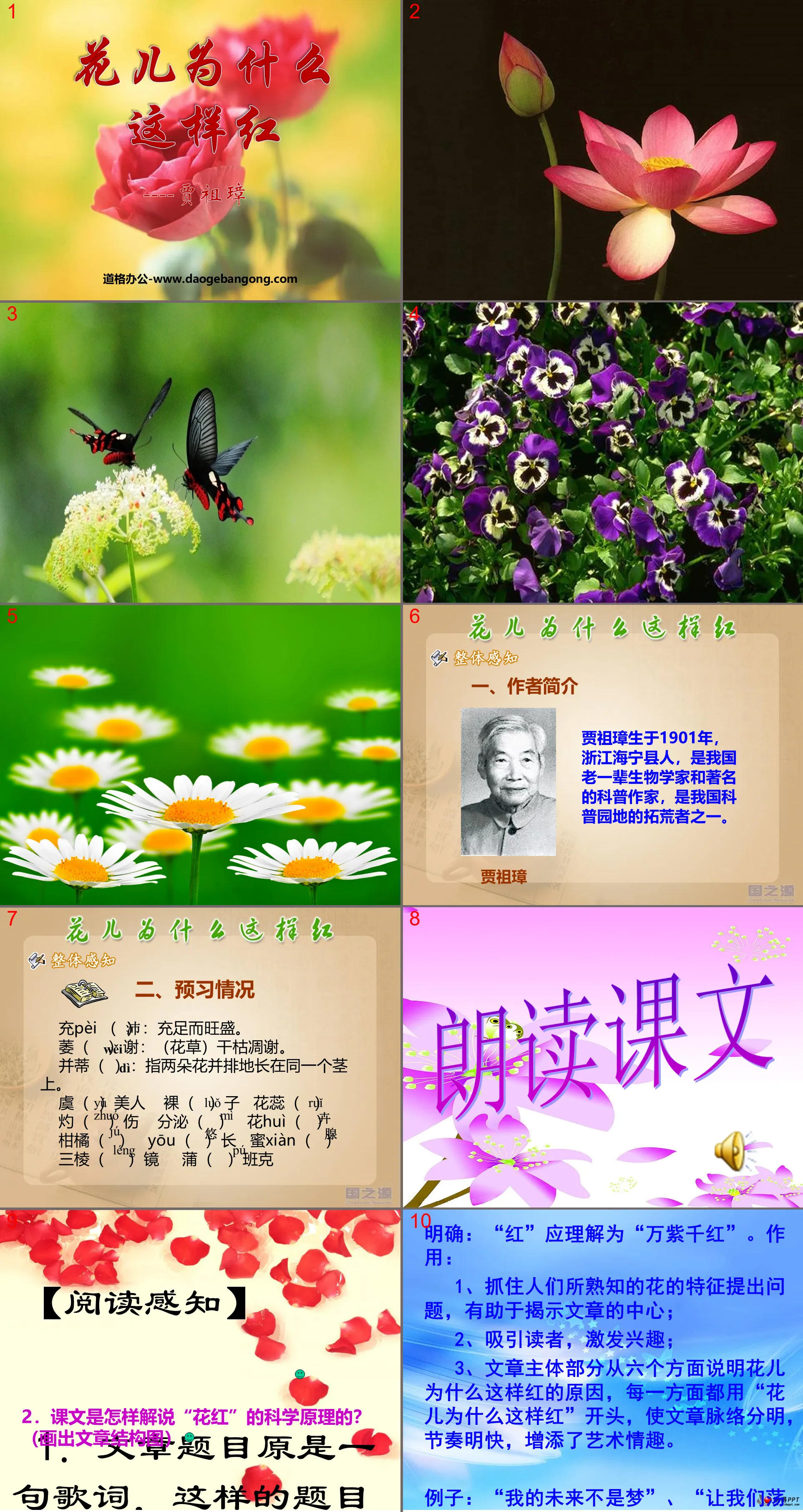 《花儿为什么这样红》PPT课件7
