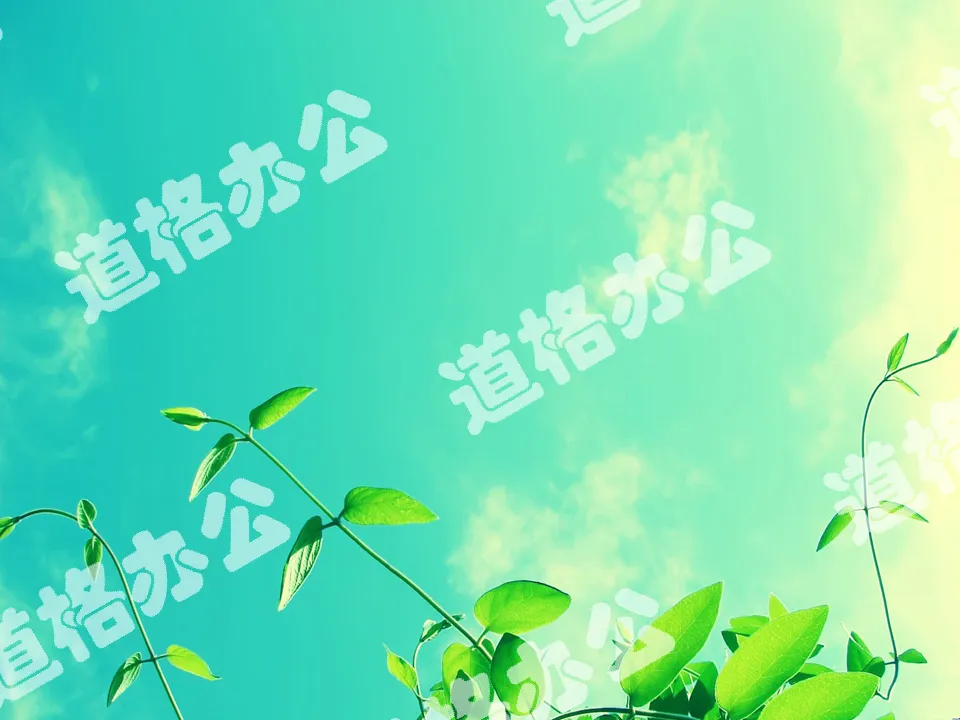 Two beautiful plant PPT background pictures under the blue sky and white clouds