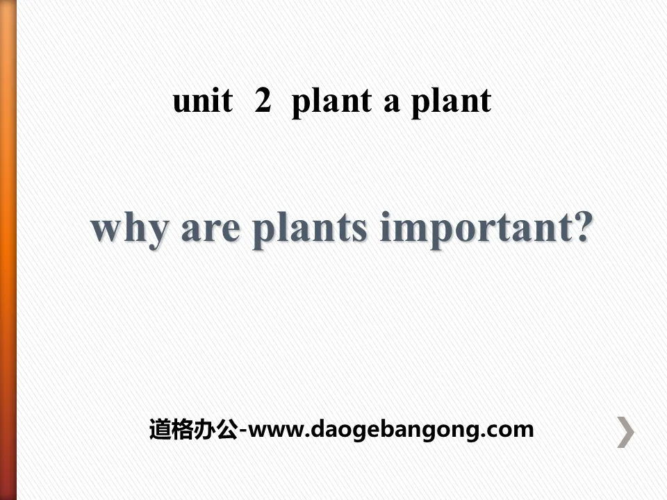 《Why Are Plants Important?》Plant a Plant PPT