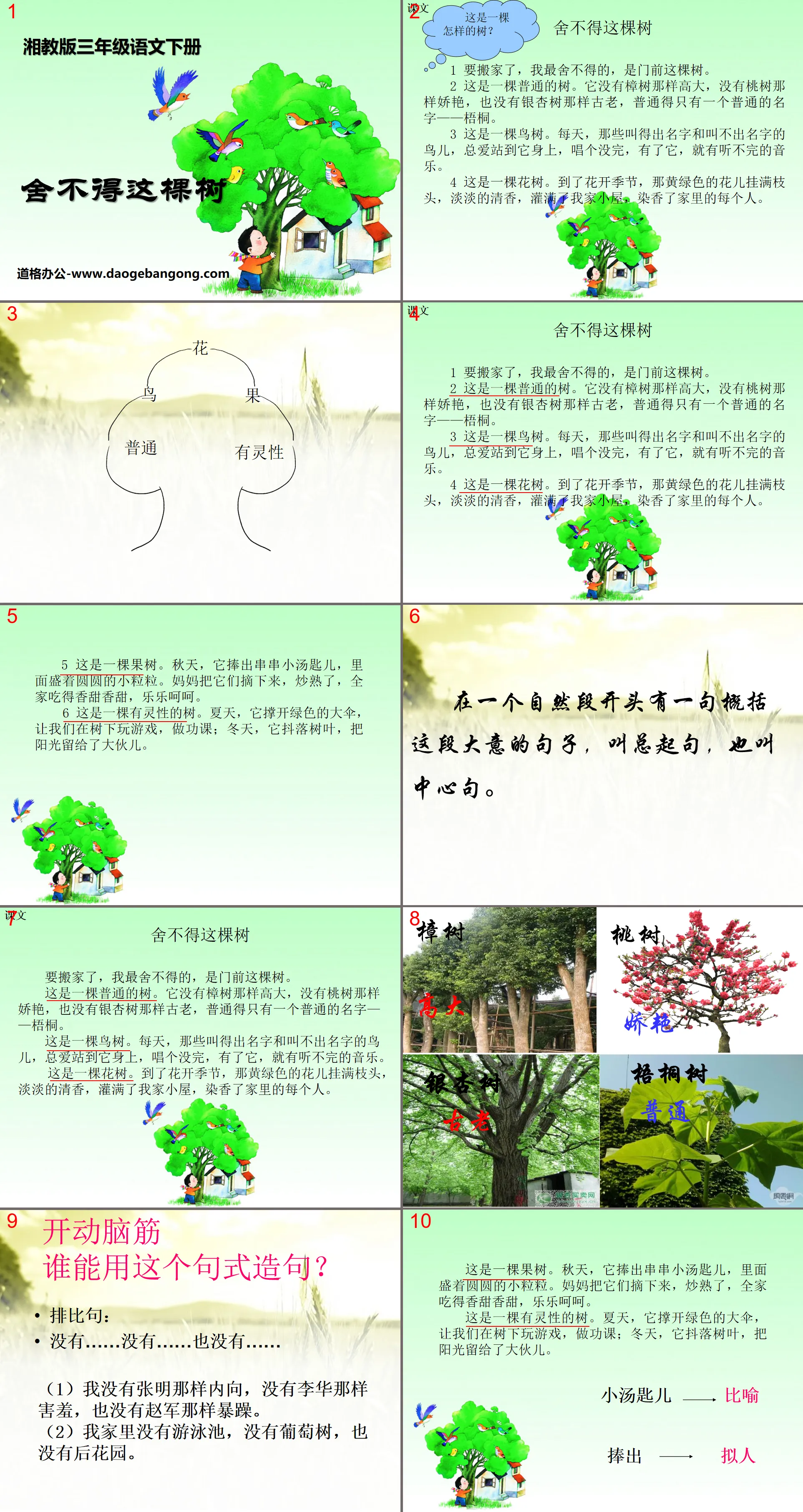 《捨不得這棵樹》PPT課件4