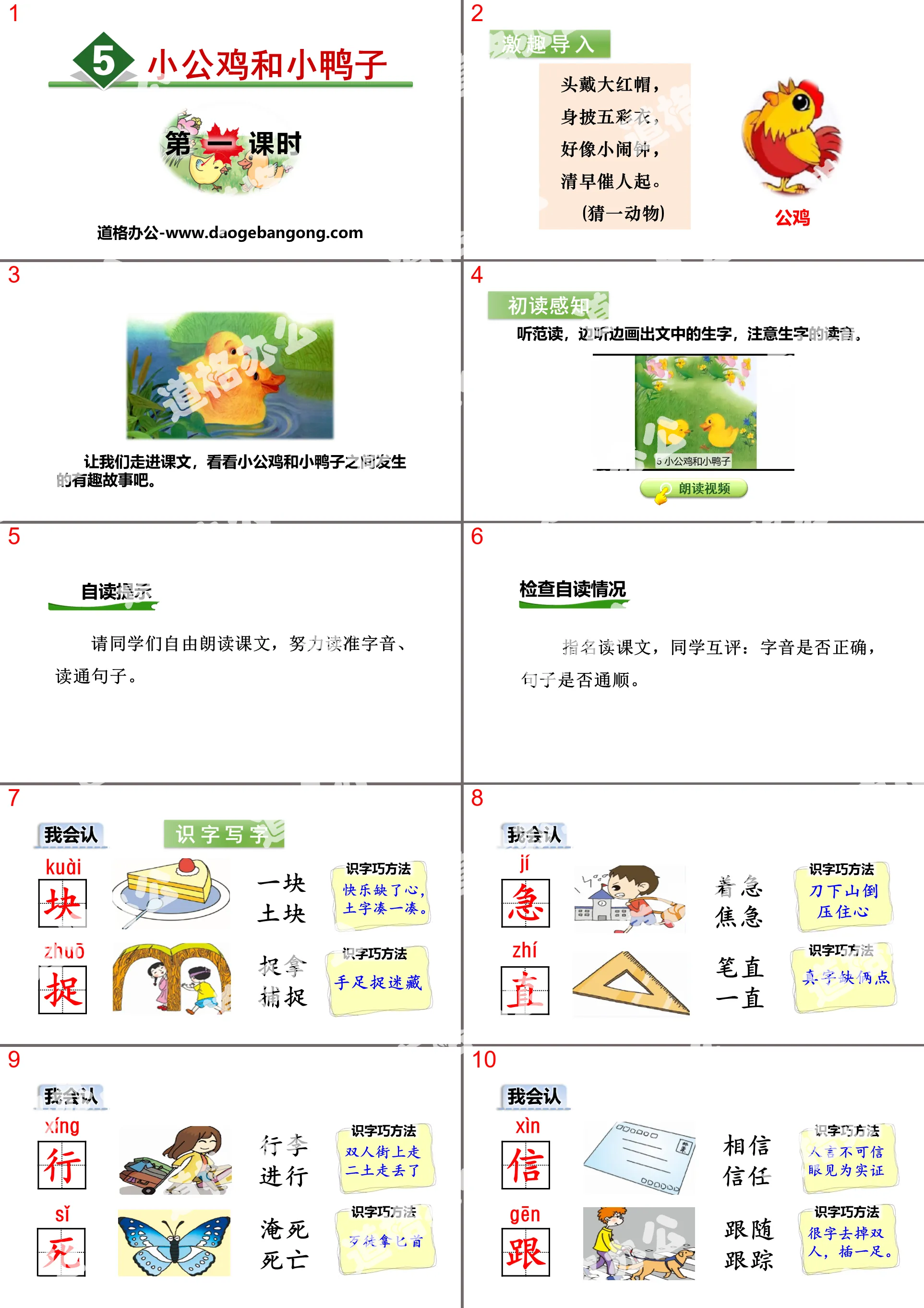 《小公雞與小鴨子》PPT(第一堂課時)