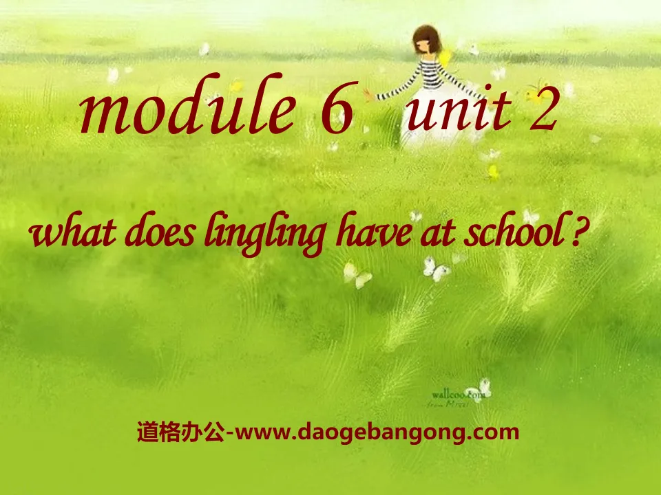 《What does Lingling have at school?》PPT课件
