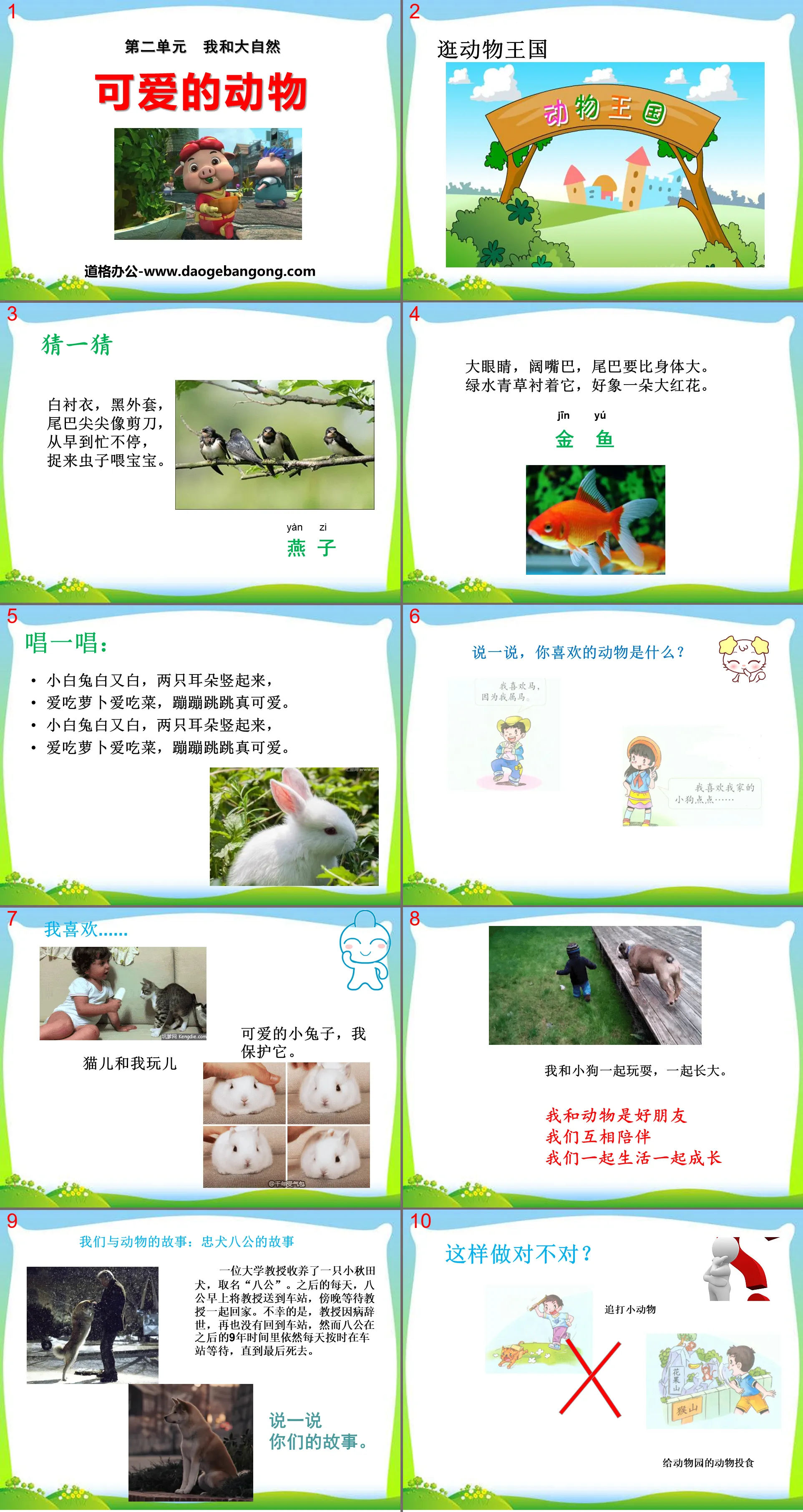 《可愛的動物》PPT