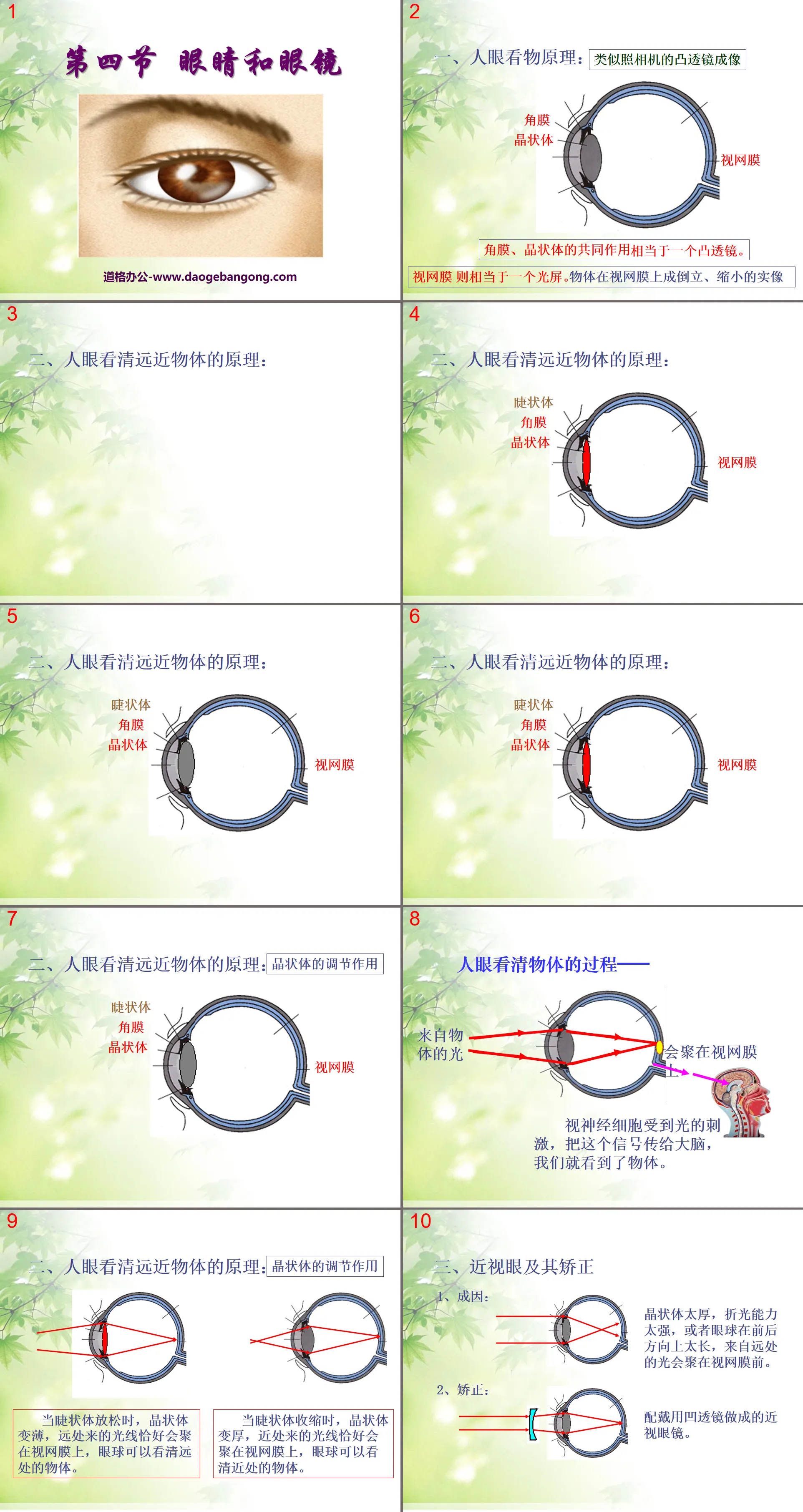 《眼睛和眼镜》透镜及其应用PPT课件4
