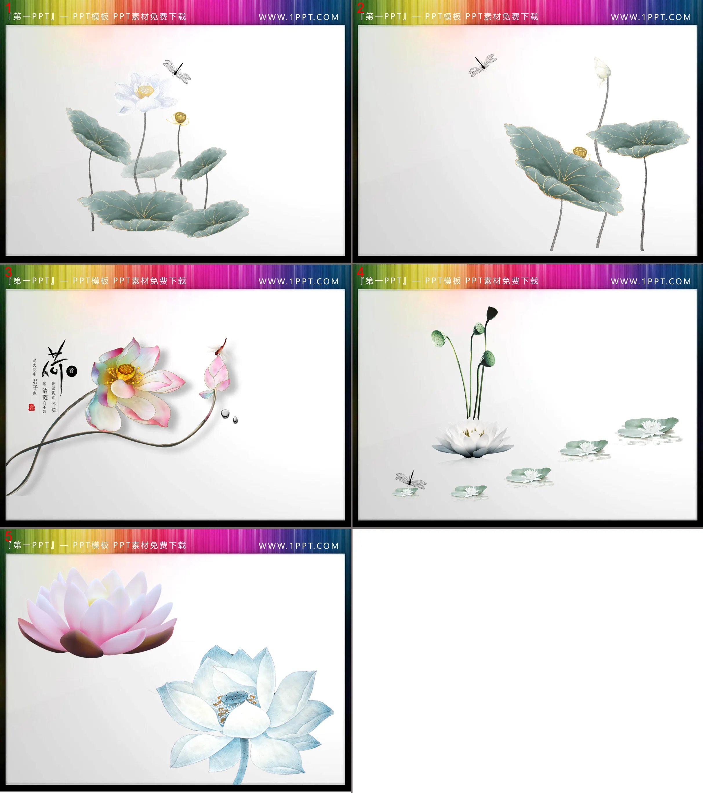 6 sets of exquisite lotus PPT material