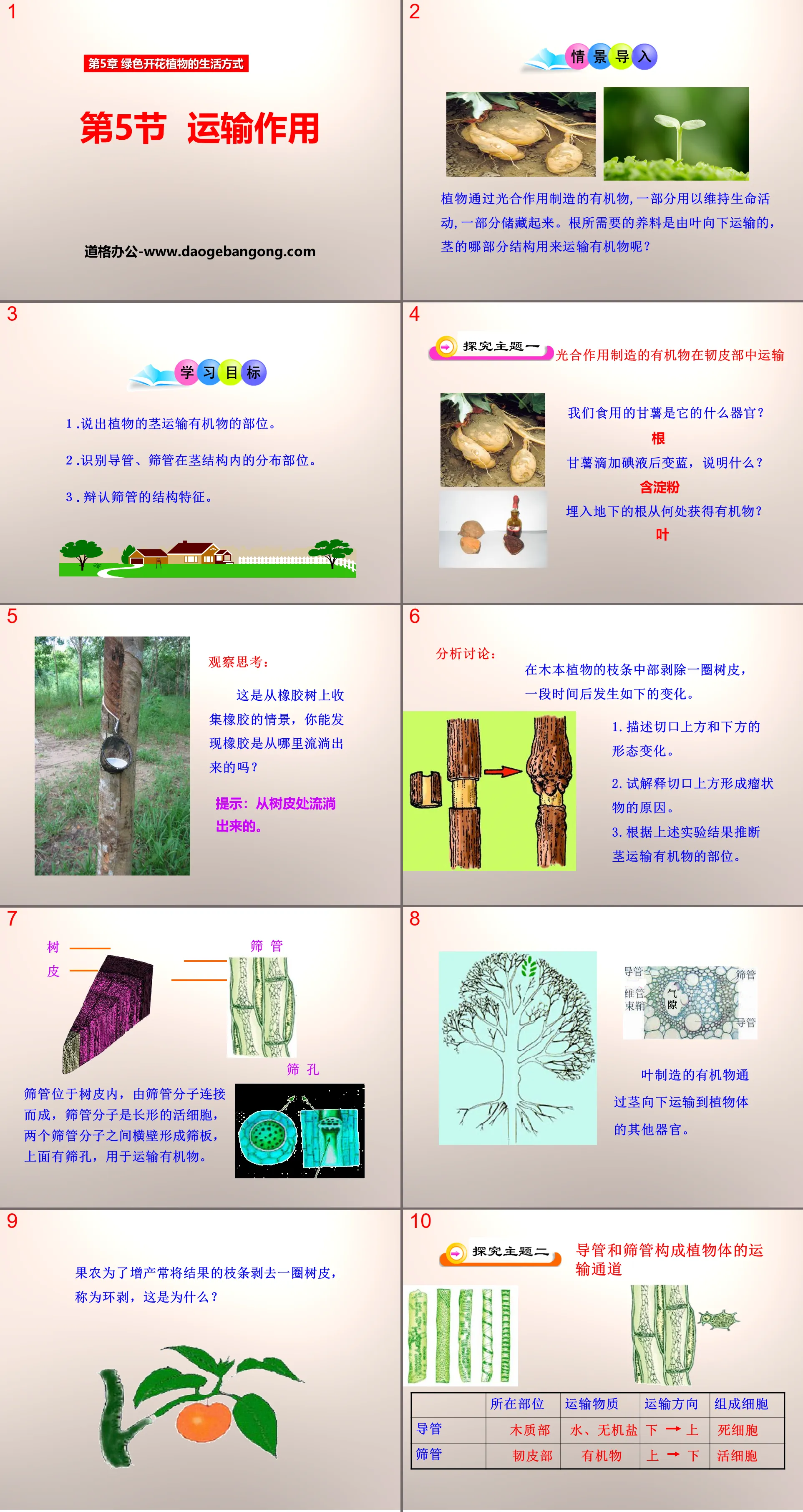 《運輸作用》PPT課件