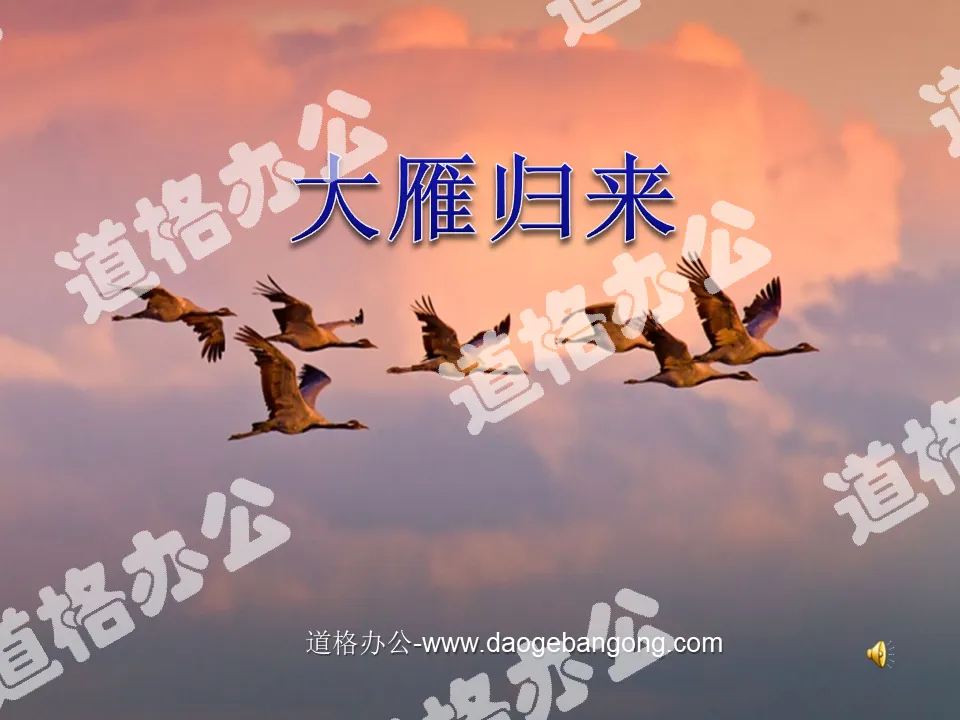 "The Return of the Wild Geese" PPT courseware