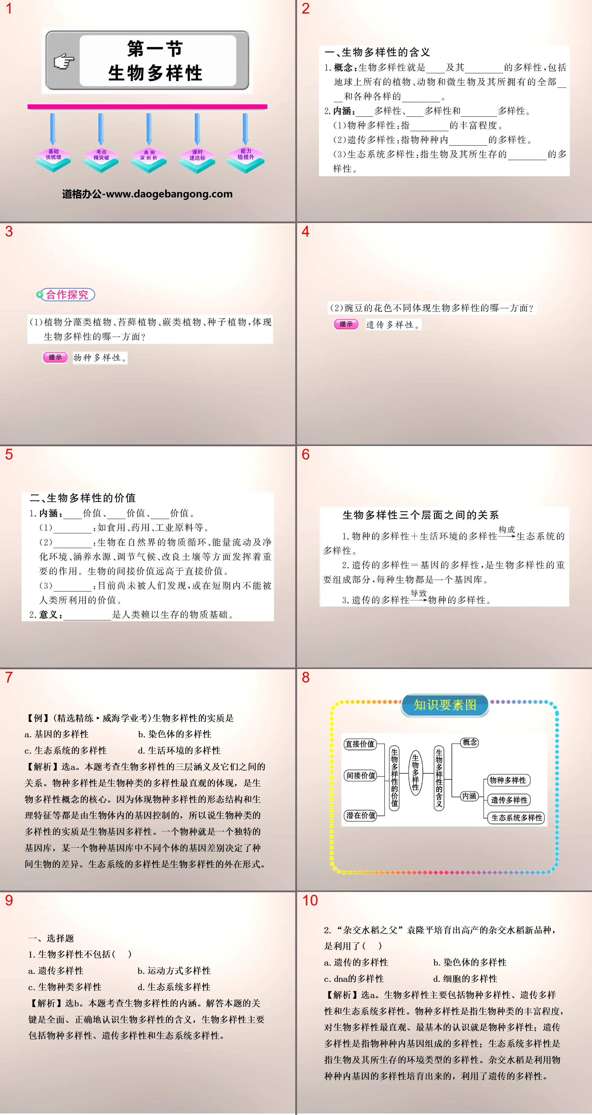 《生物多样性》PPT