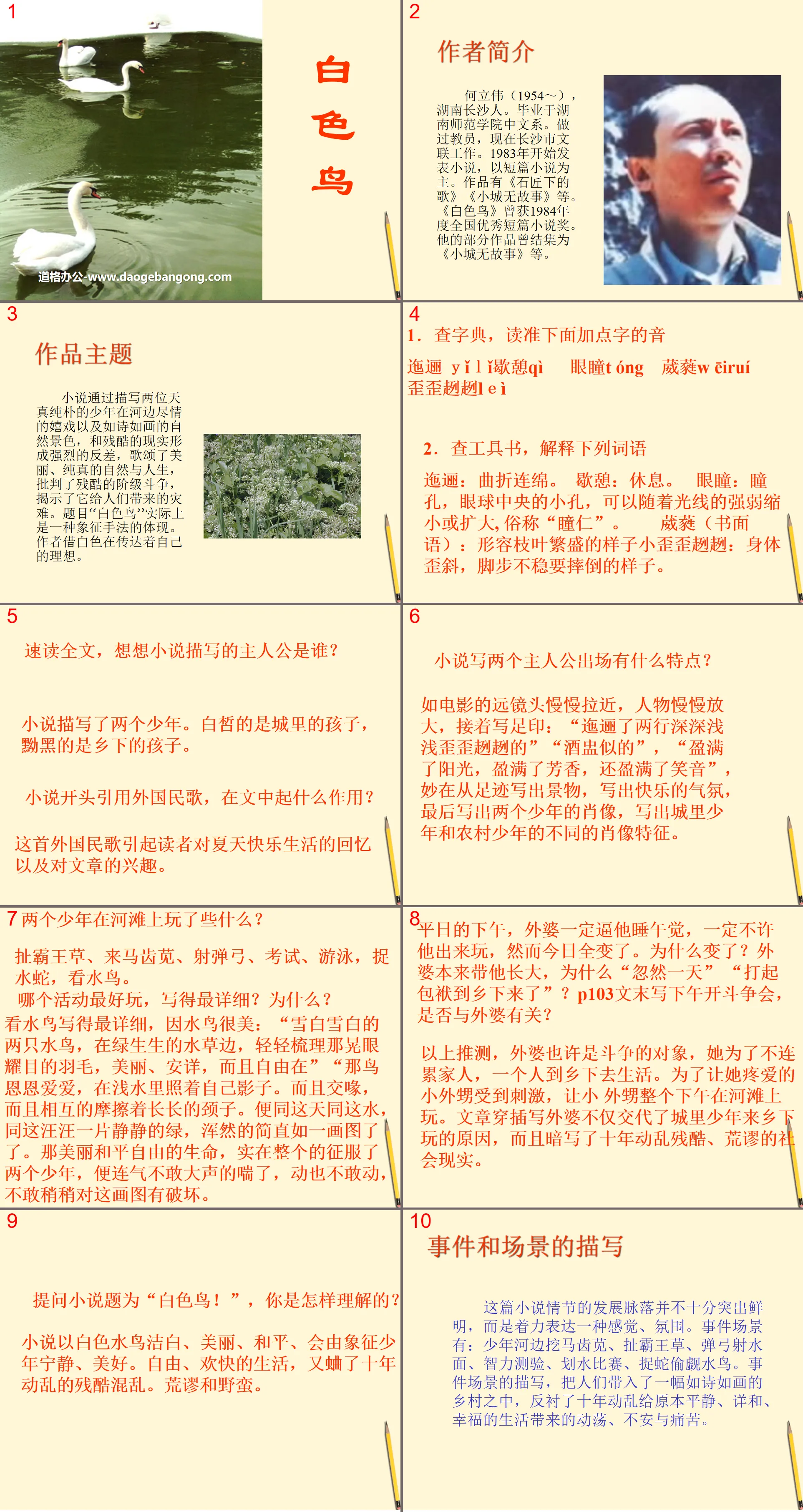 《白色鸟》PPT课件
