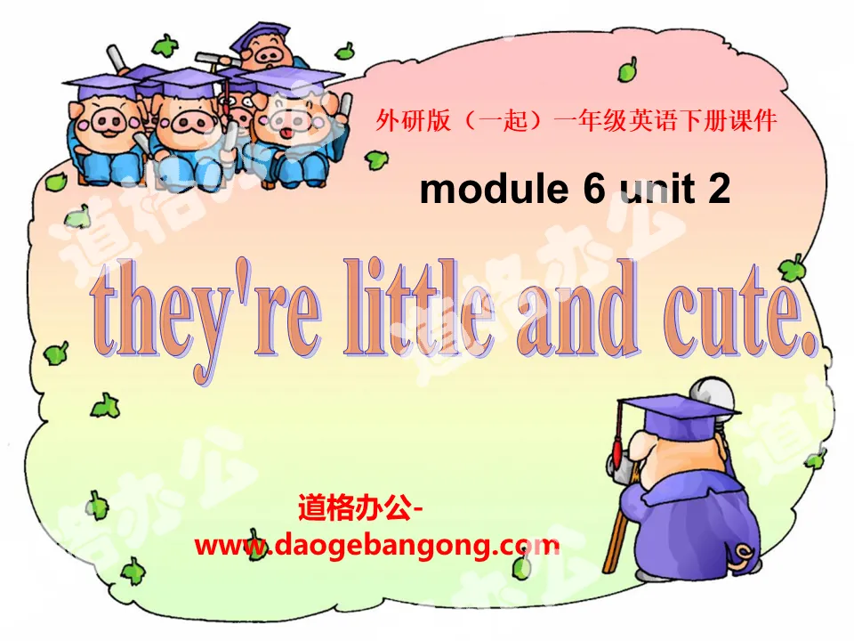 "They’re little and cute" PPT courseware 2