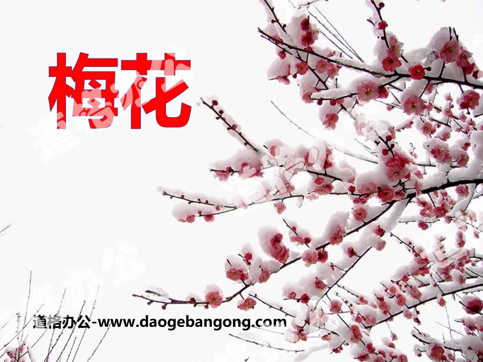 "Plum Blossom" PPT