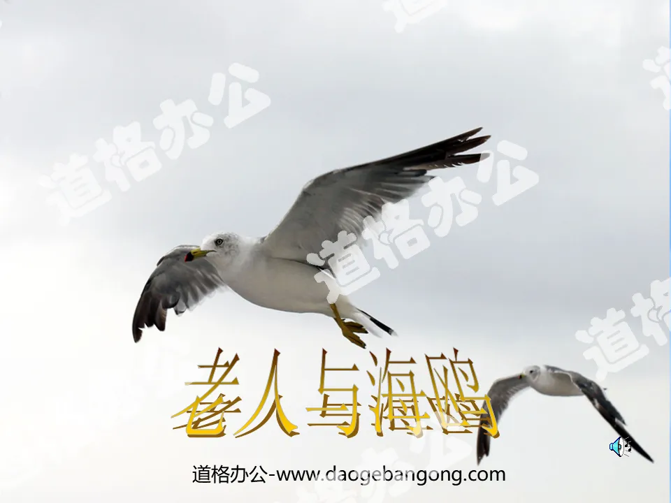 "The Old Man and the Seagull" PPT courseware download 3