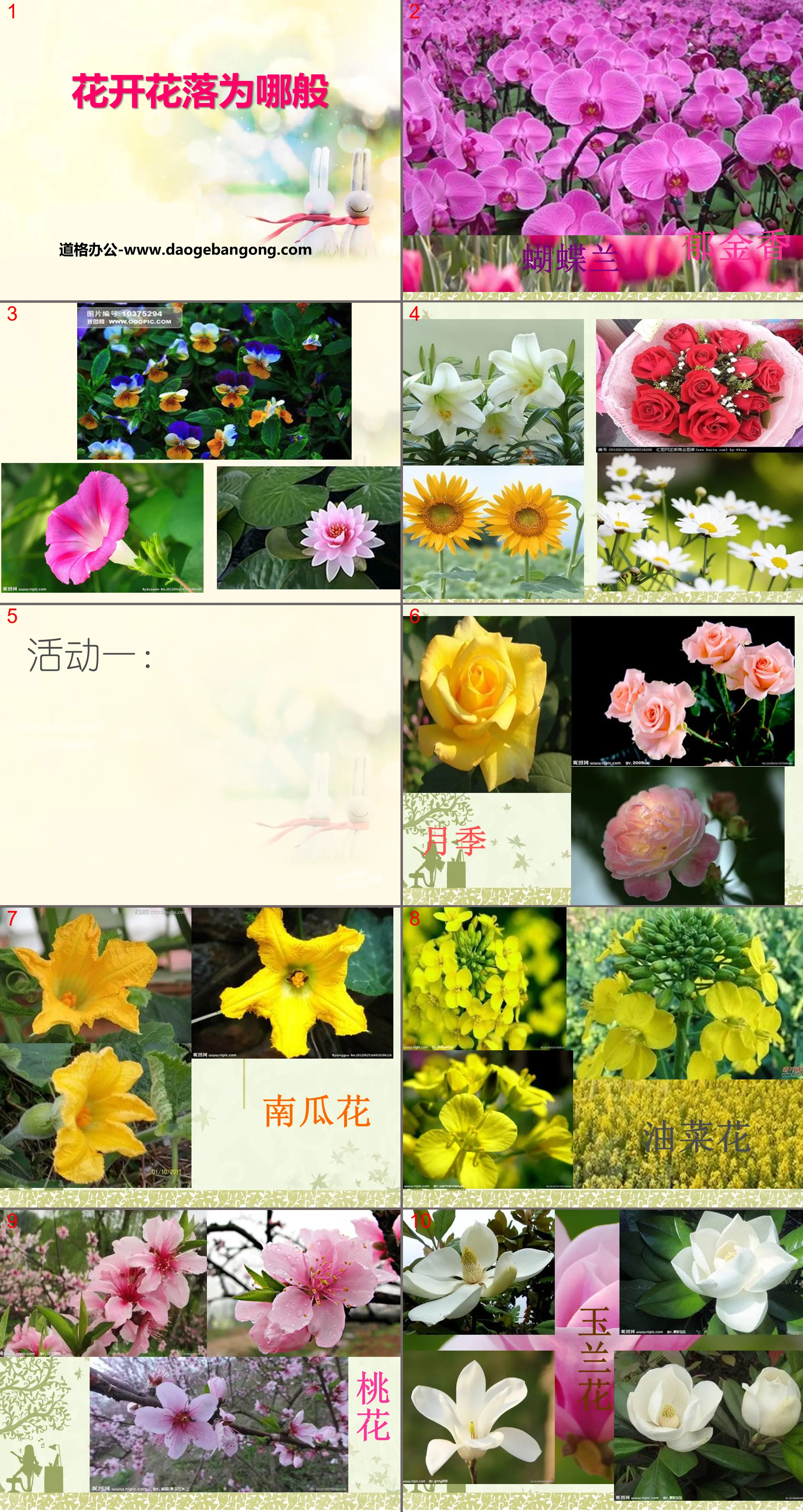 Hunan Education Edition fourth grade science volume 2 "Why Flowers Bloom and Fall" PPT courseware download