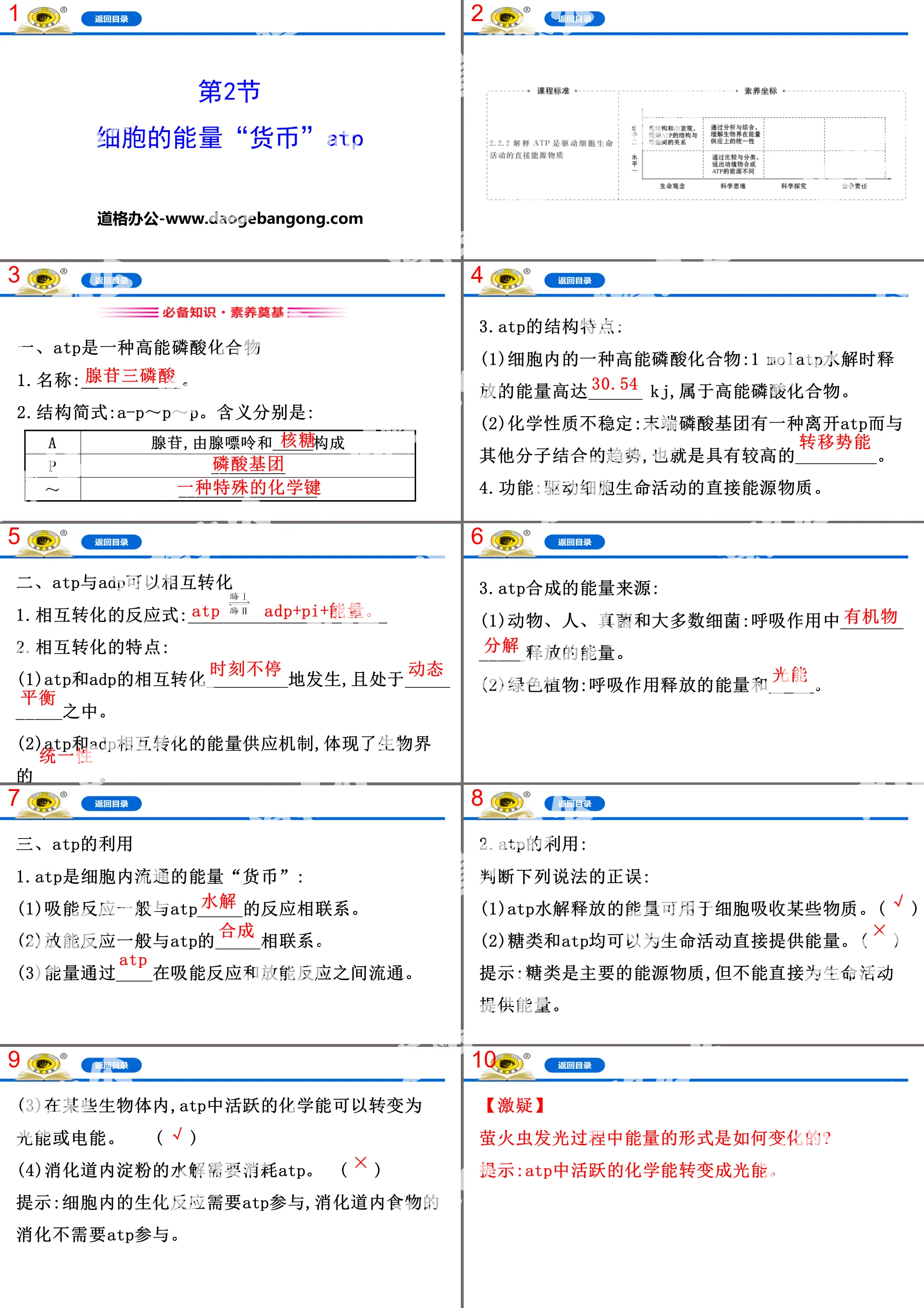 《细胞的能量“货币”ATP》细胞的能量供应和利用PPT
