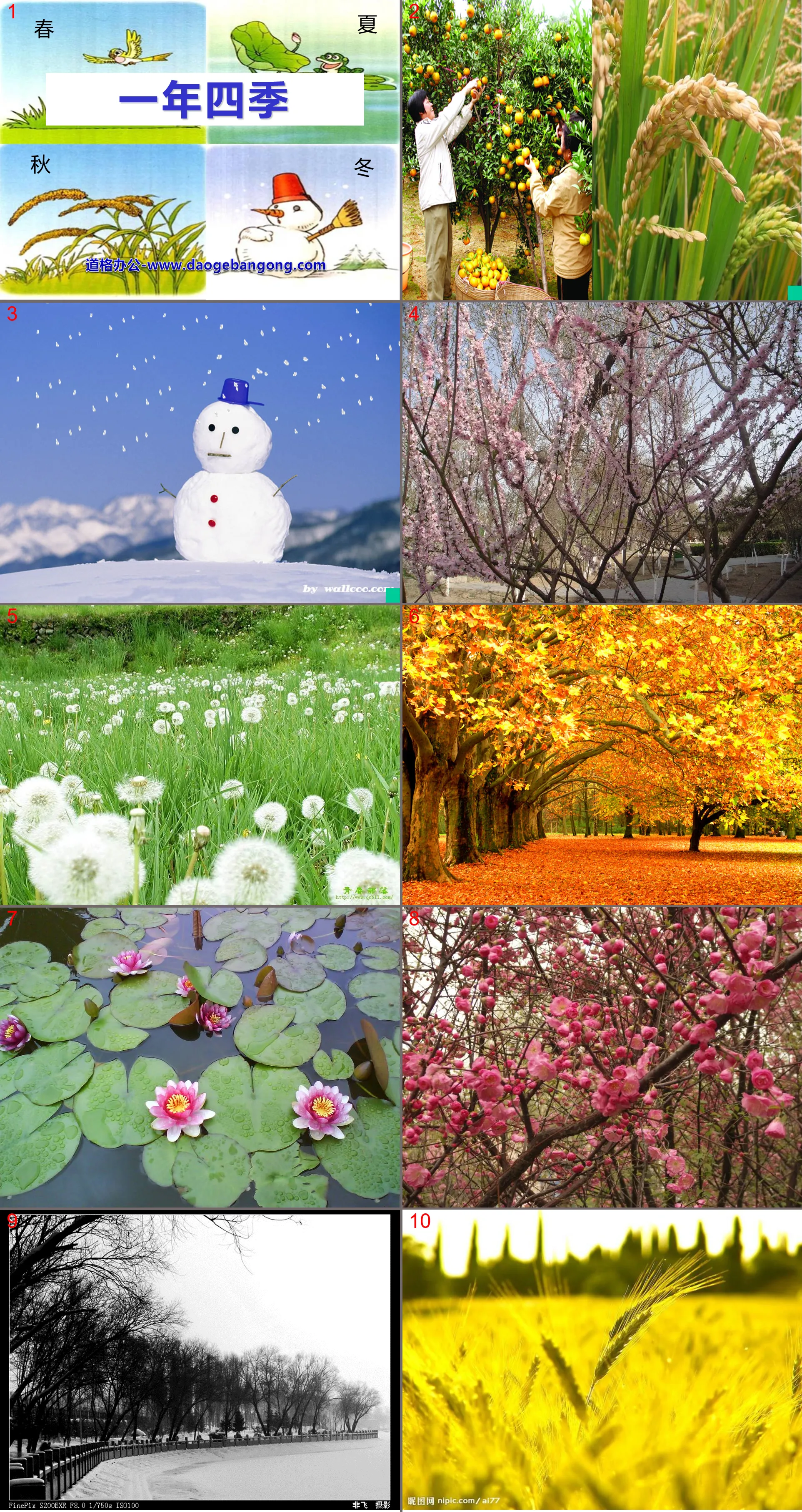 "Four Seasons of the Year" PPT