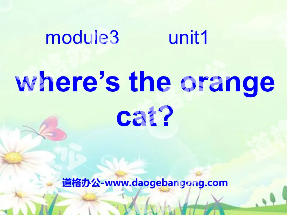 "Where's the orange cat?" PPT courseware