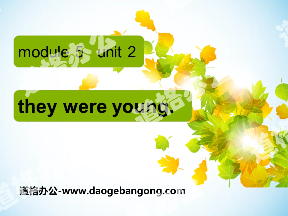 "They were young" PPT courseware