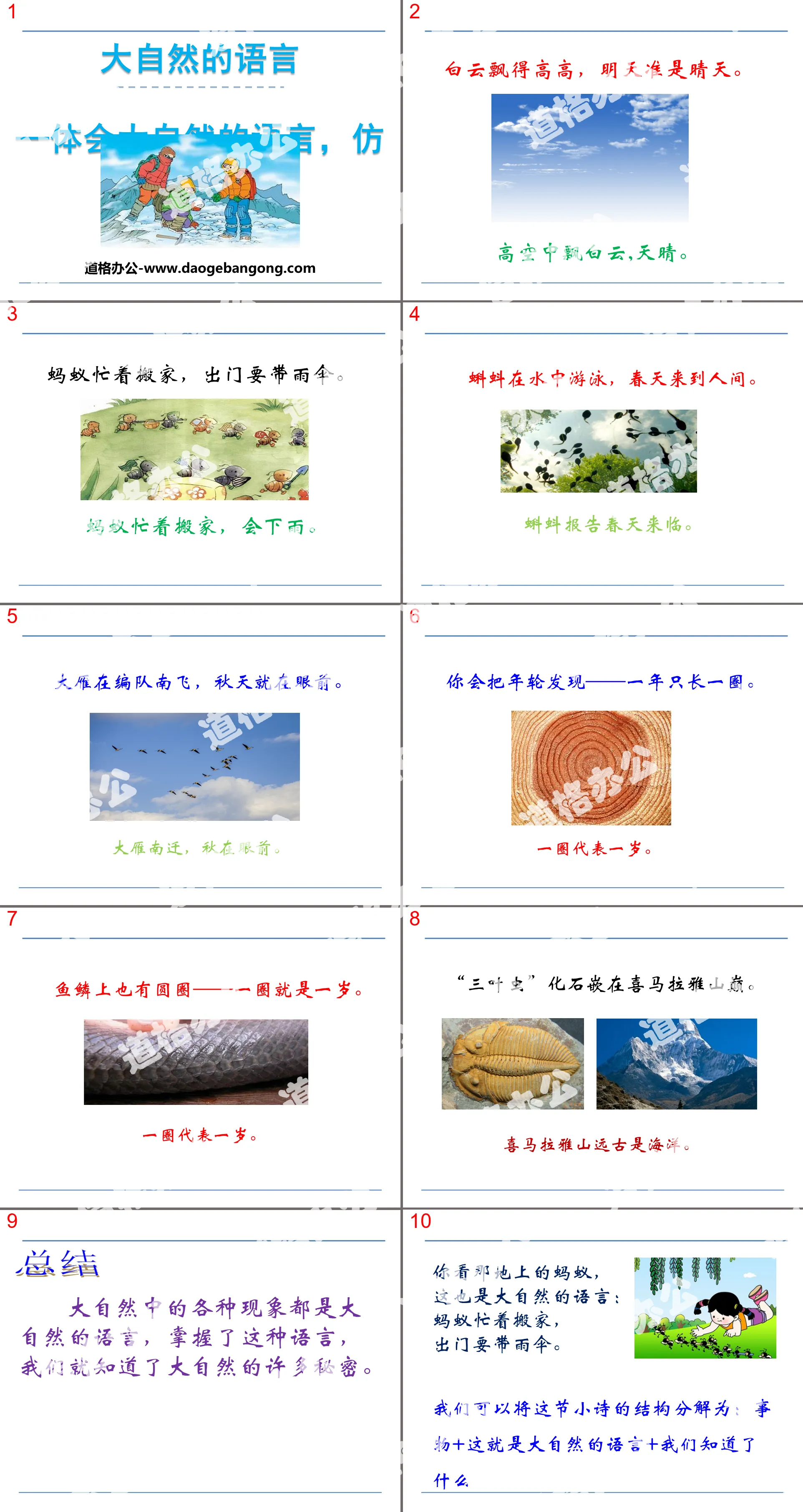 "The Language of Nature" PPT teaching courseware
