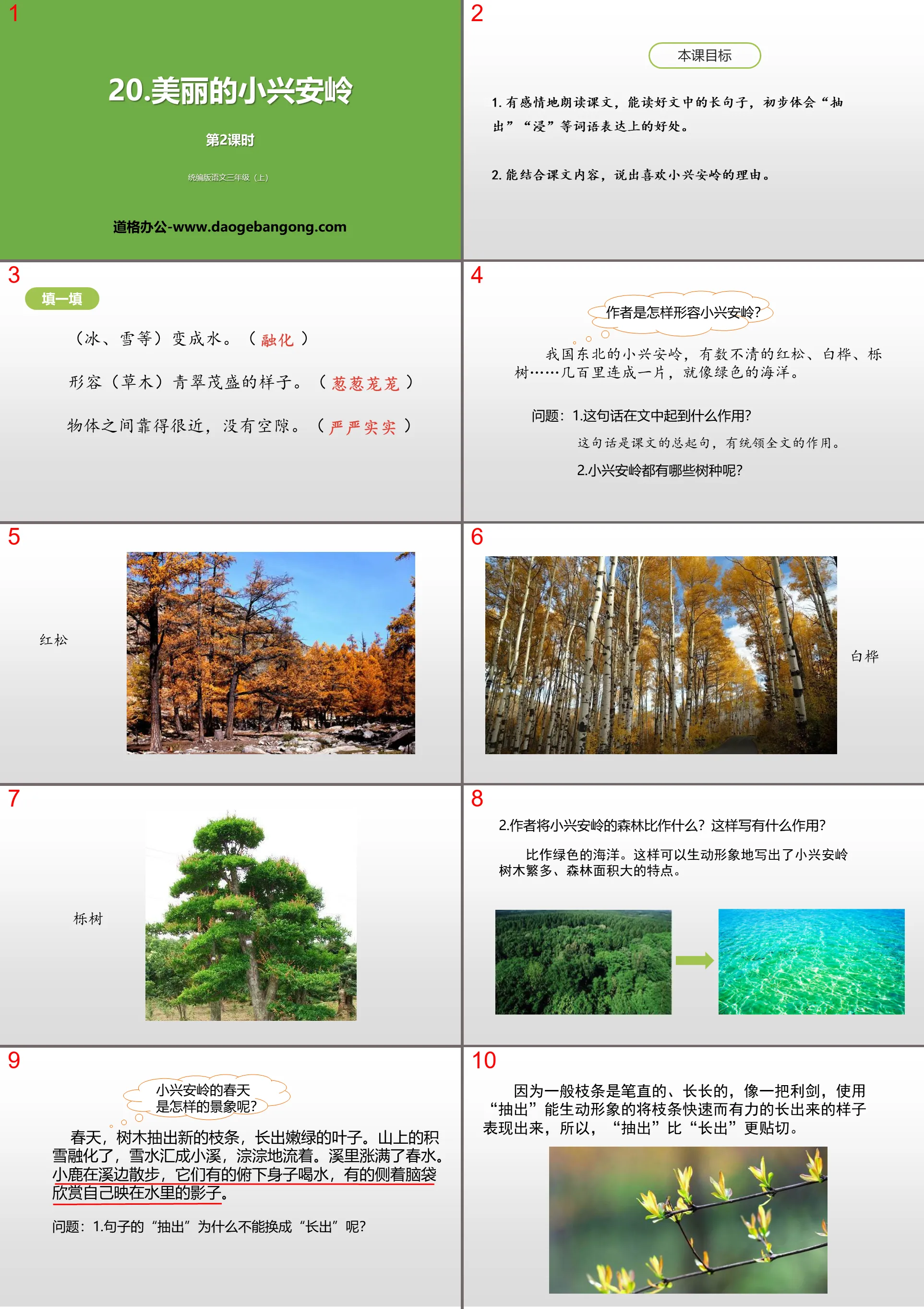 Cours PPT « La belle Xiaoxing'anling » (Leçon 2)