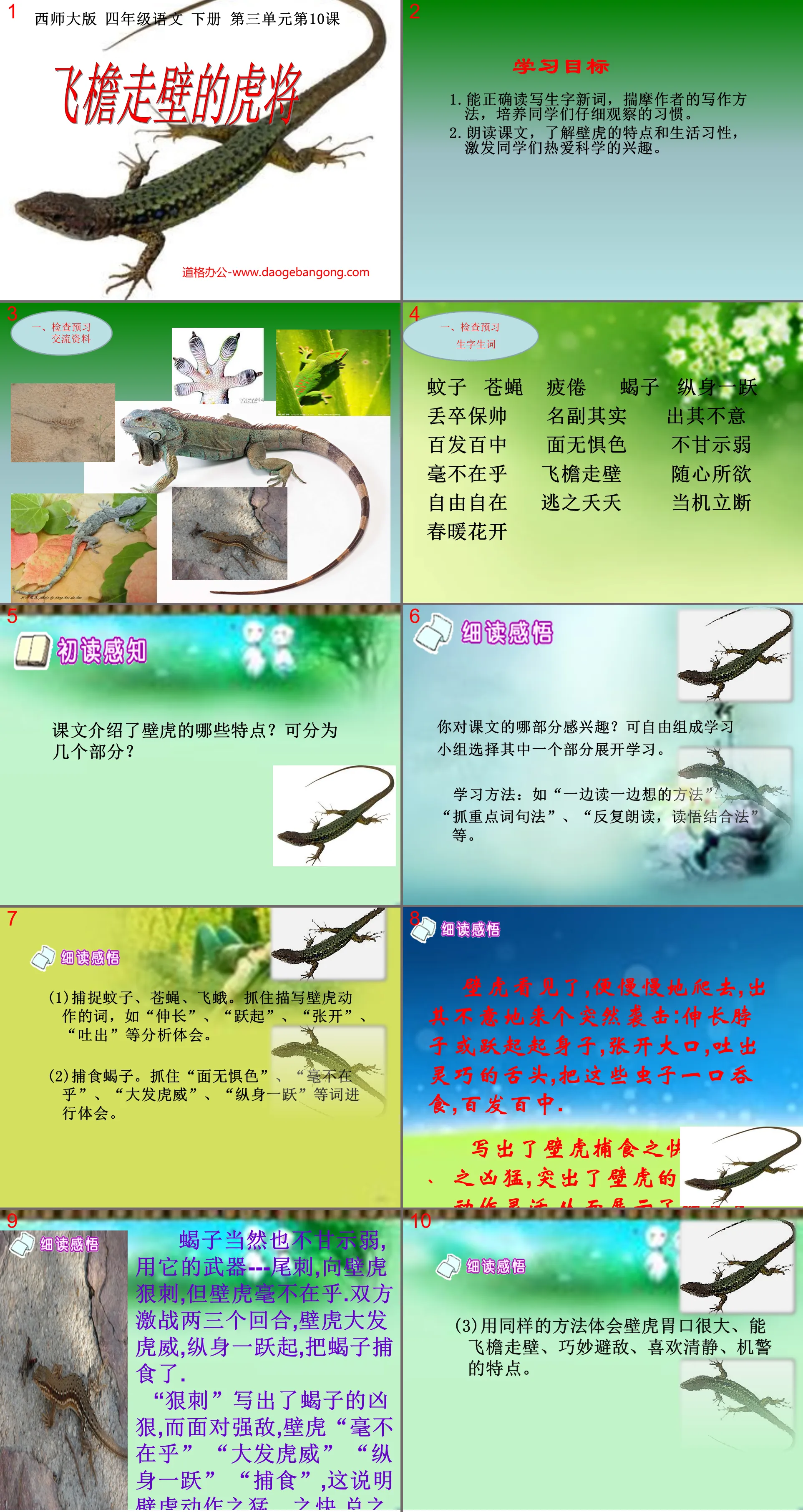 《飛簷走壁的虎將》PPT課件3