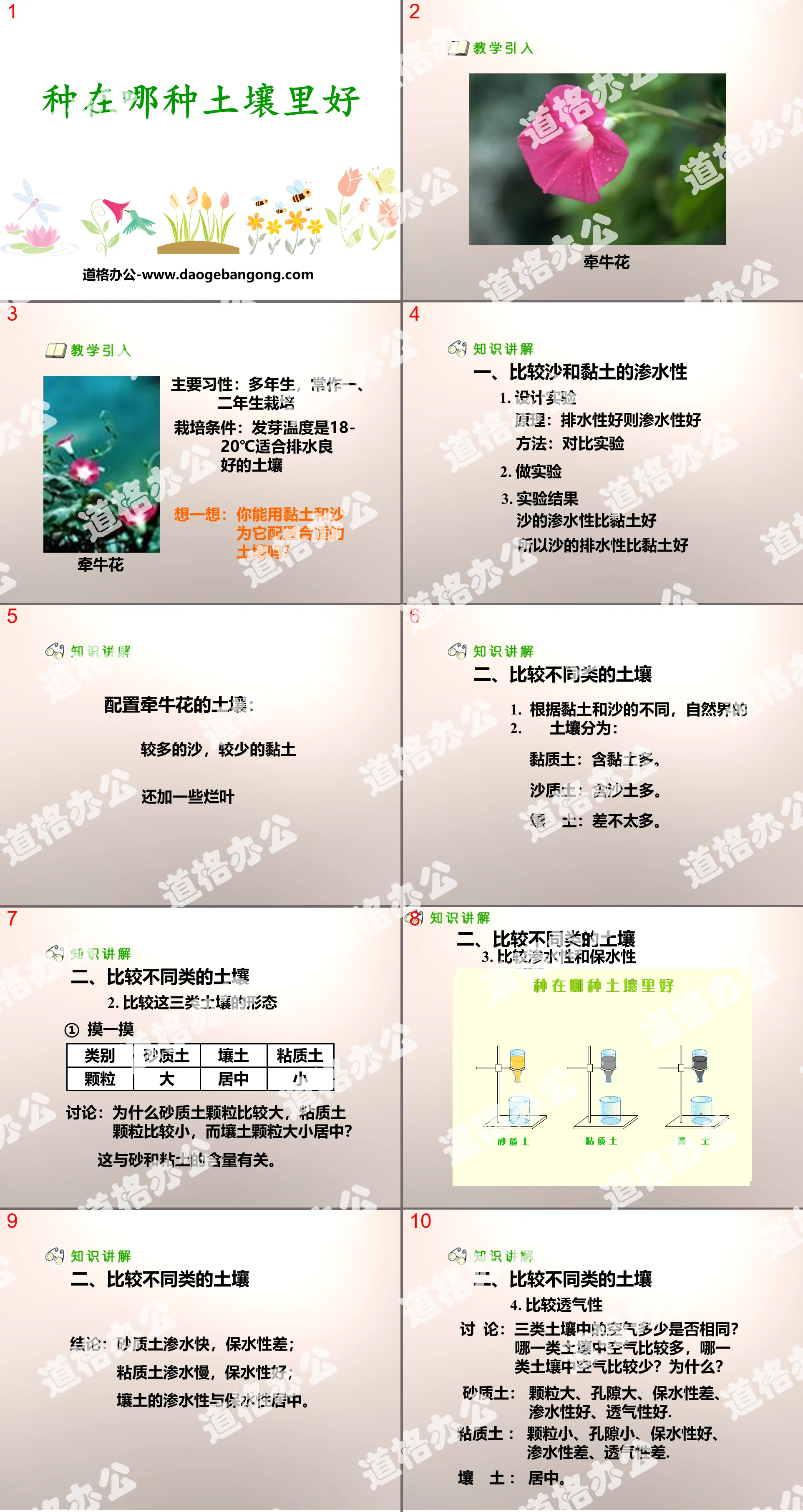 "Which soil is better to plant in" PPT courseware of plant life in the land